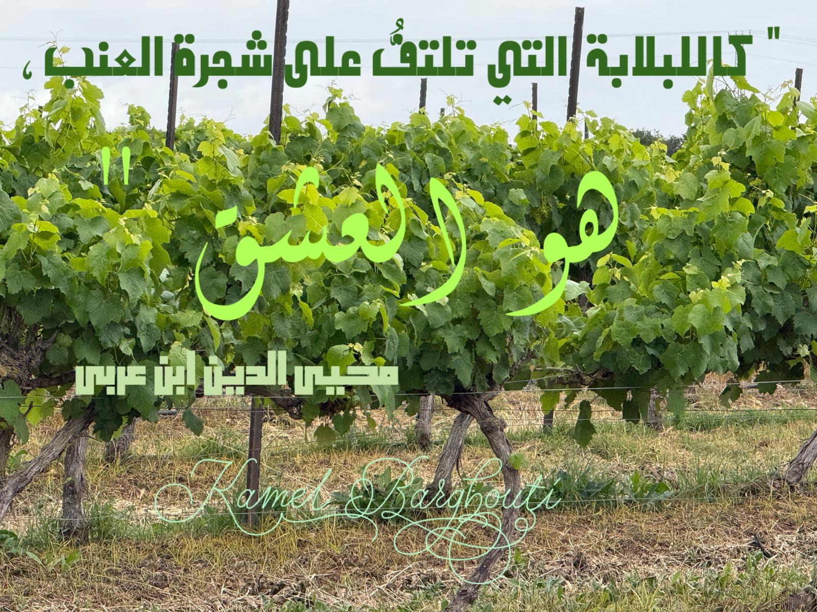 حب وحنين – اقتباس 470