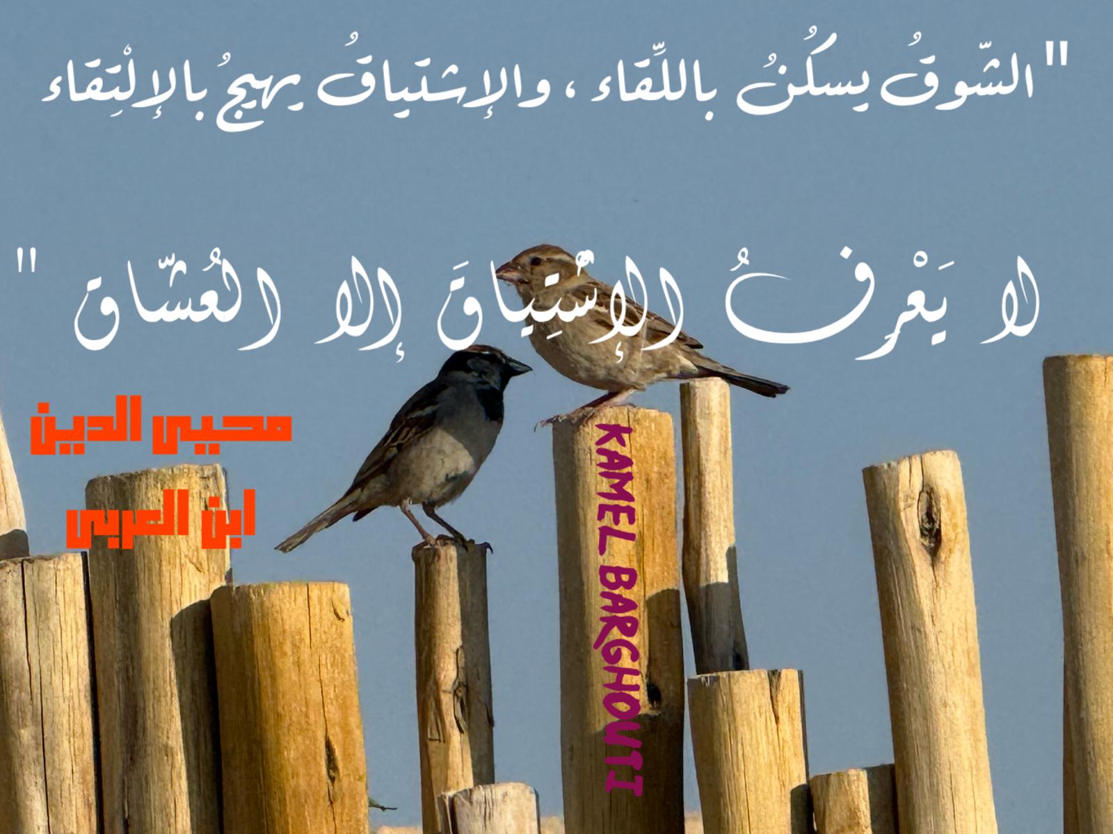 حب وحنين – اقتباس 469
