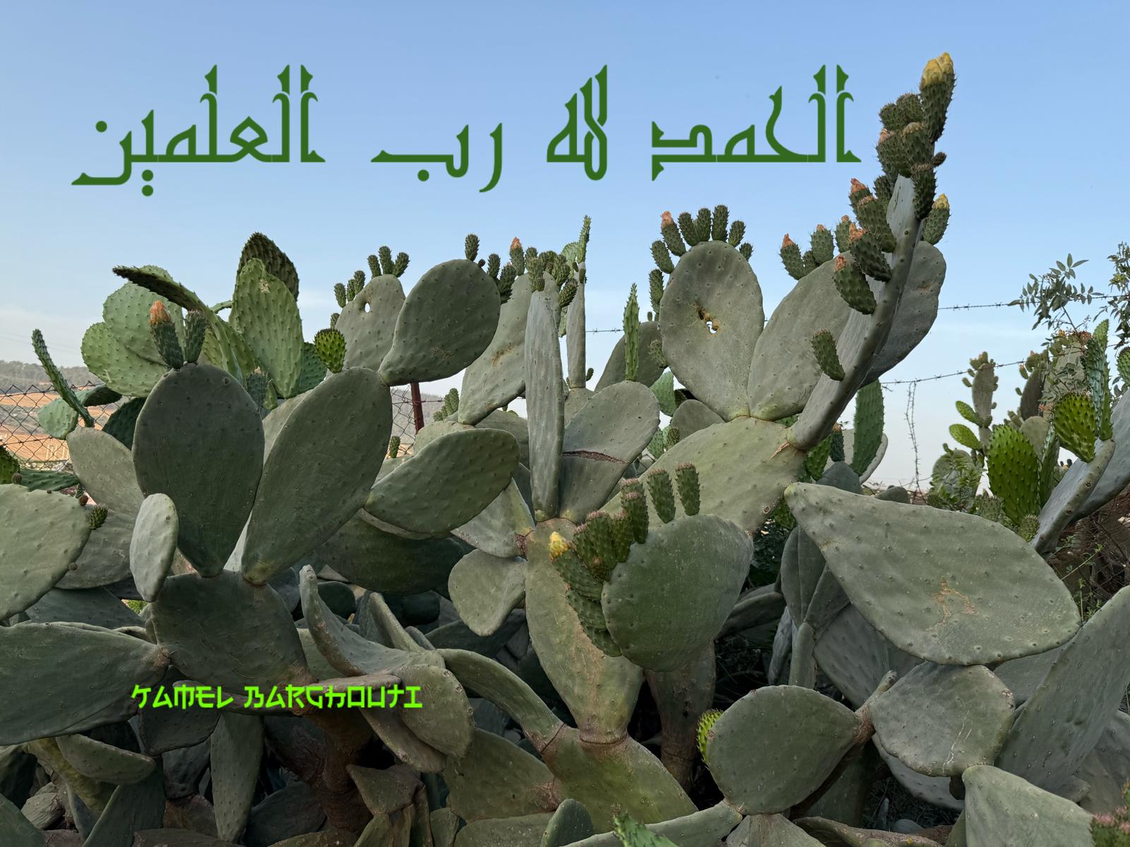 اليقين بالله – اقتباس 224