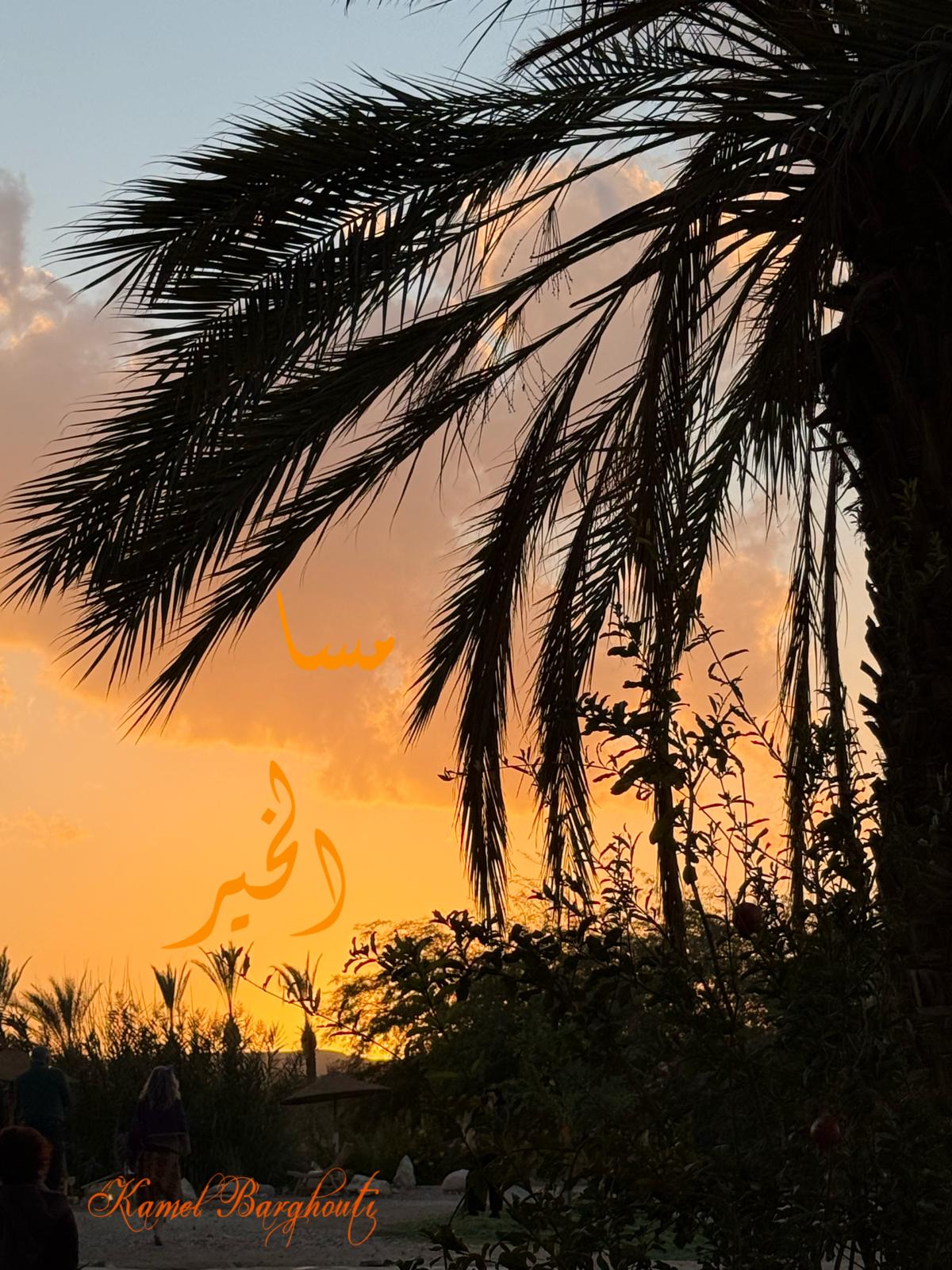 مساء الخير – اقتباس 21