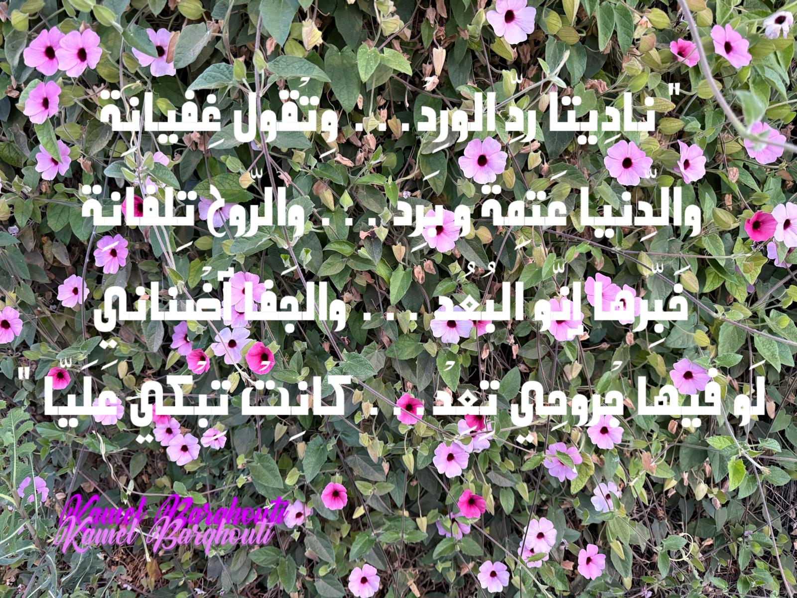 حب وحنين – اقتباس 466