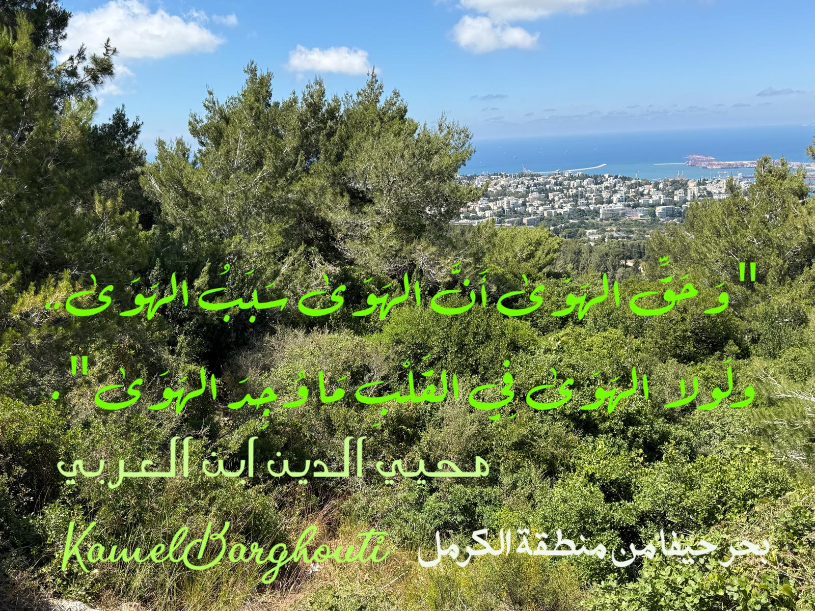 حب وحنين – اقتباس 465