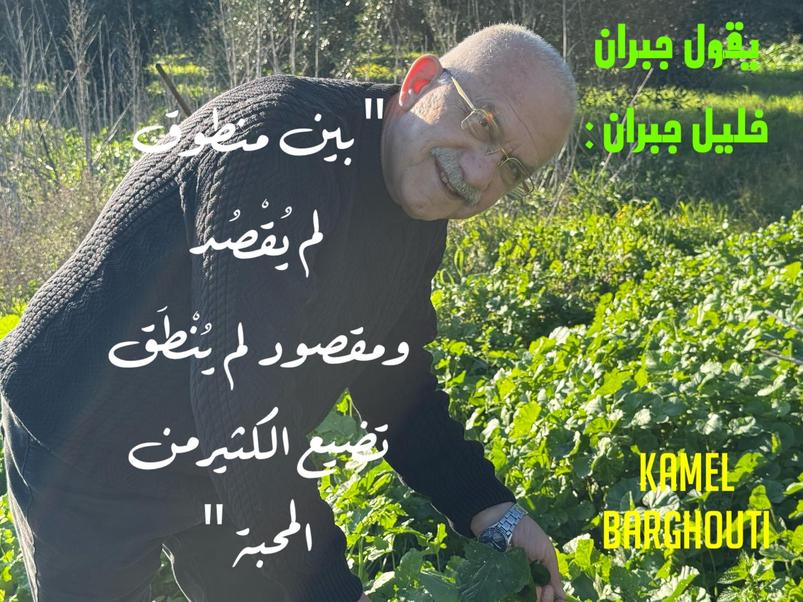 حكمة – اقتباس 164