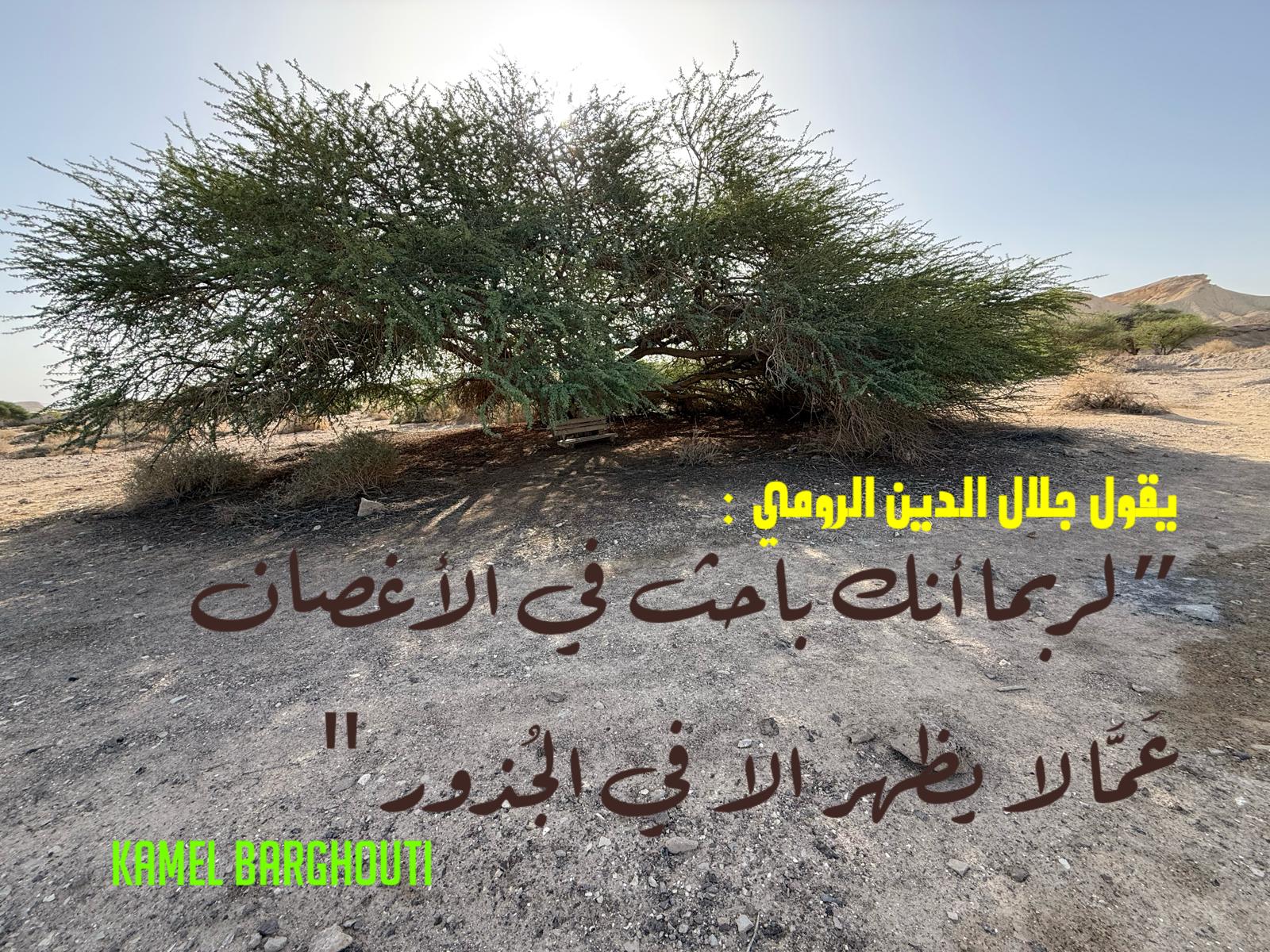 حكمة – اقتباس 154