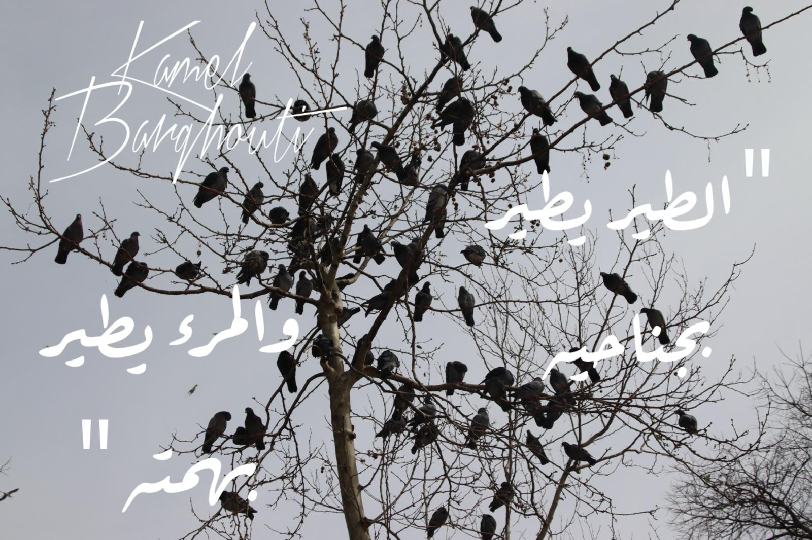حكمة – اقتباس 138