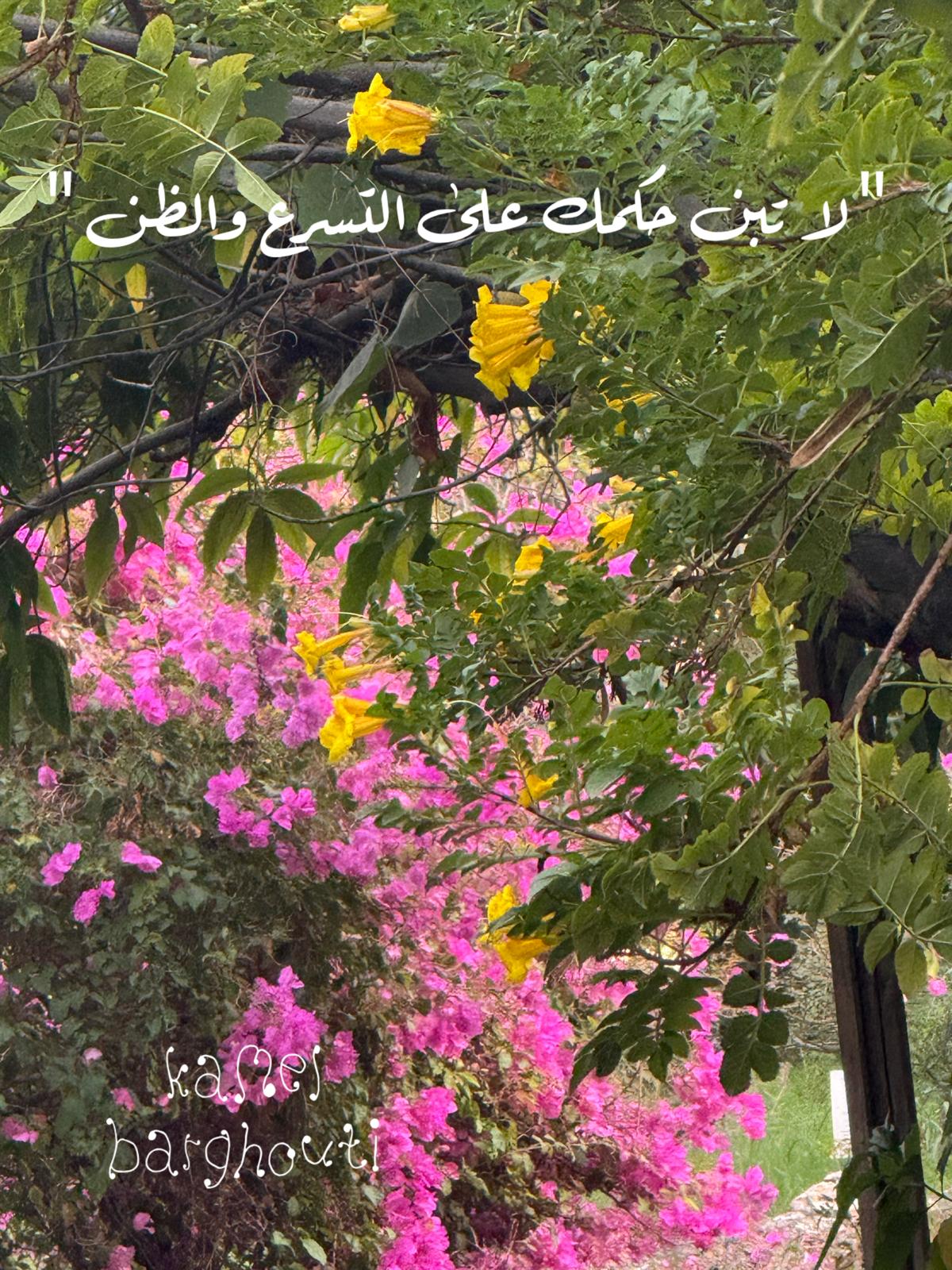 حكمة – اقتباس 139