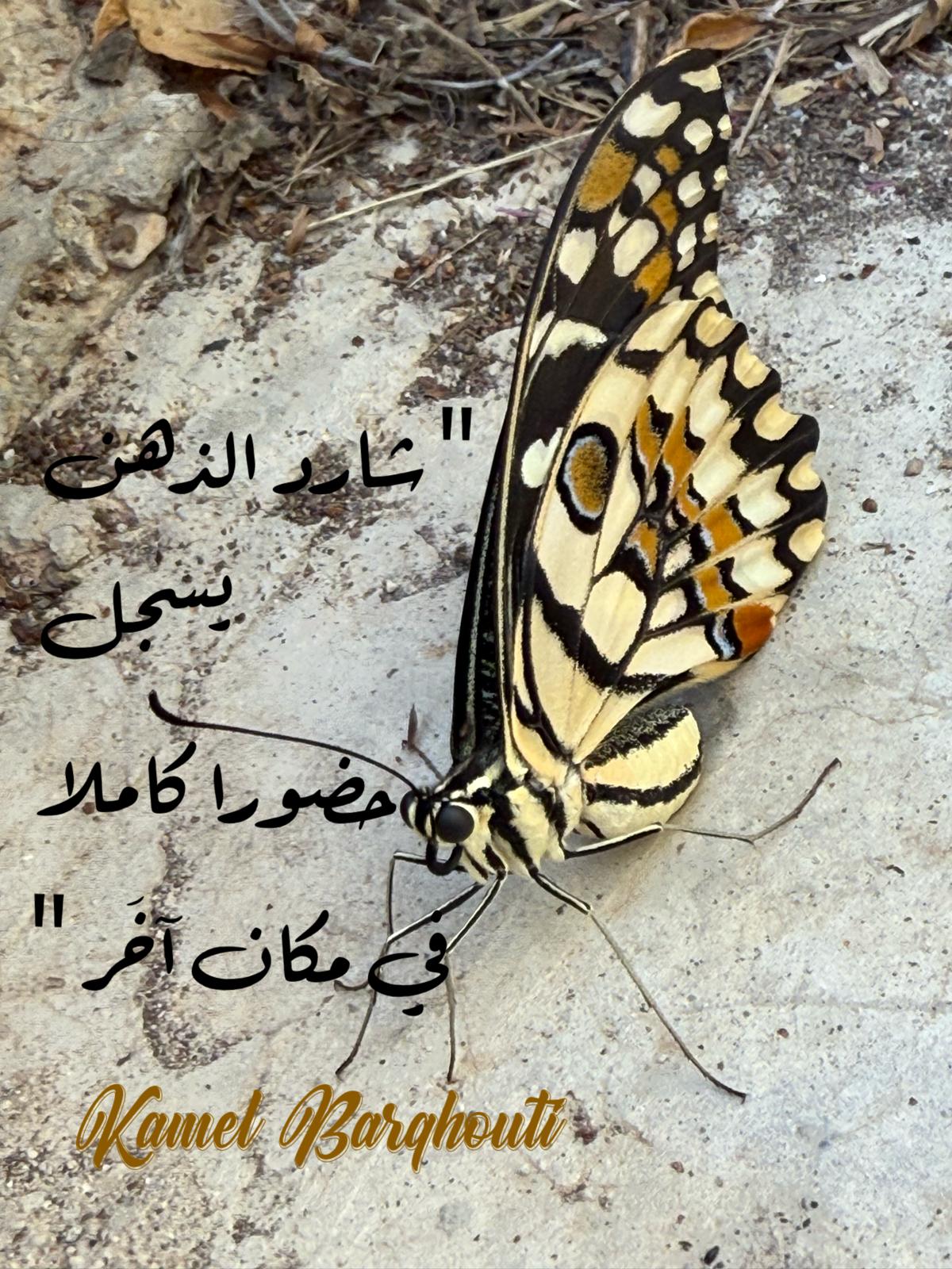 حكمة – اقتباس 144