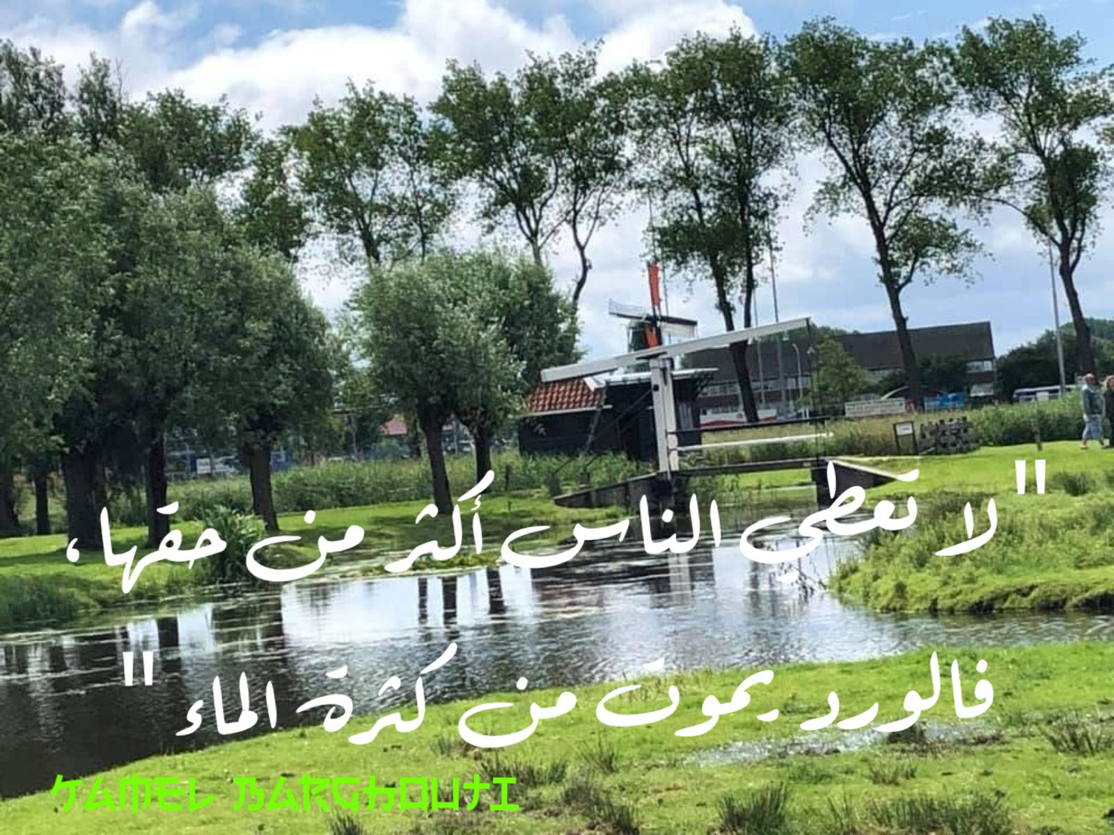 حكمة – اقتباس 107