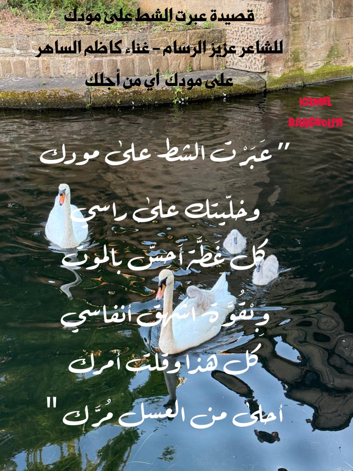 كلام جميل – اقتباس 365