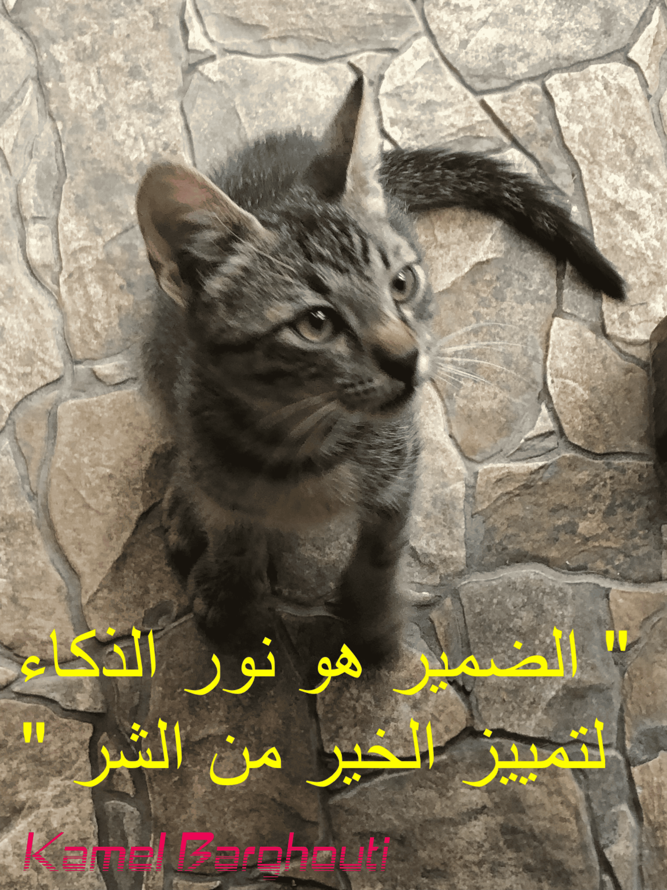 قيم إنسانية – اقتباس 335