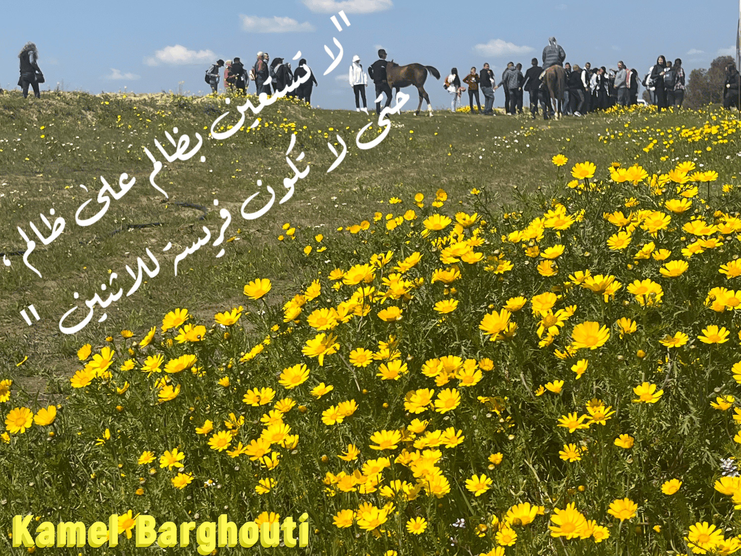 قيم إنسانية – اقتباس 332