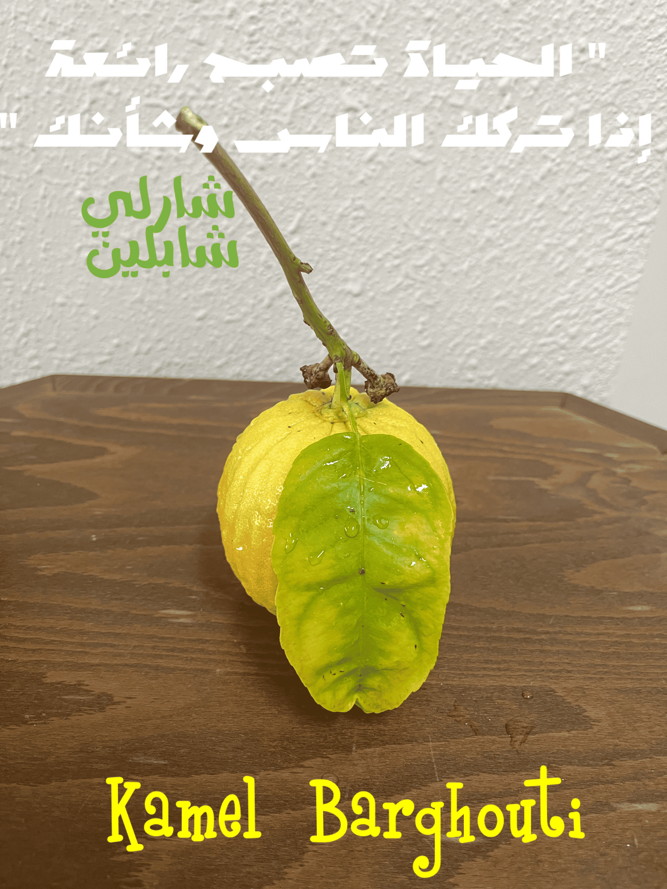 قيم إنسانية – اقتباس 307