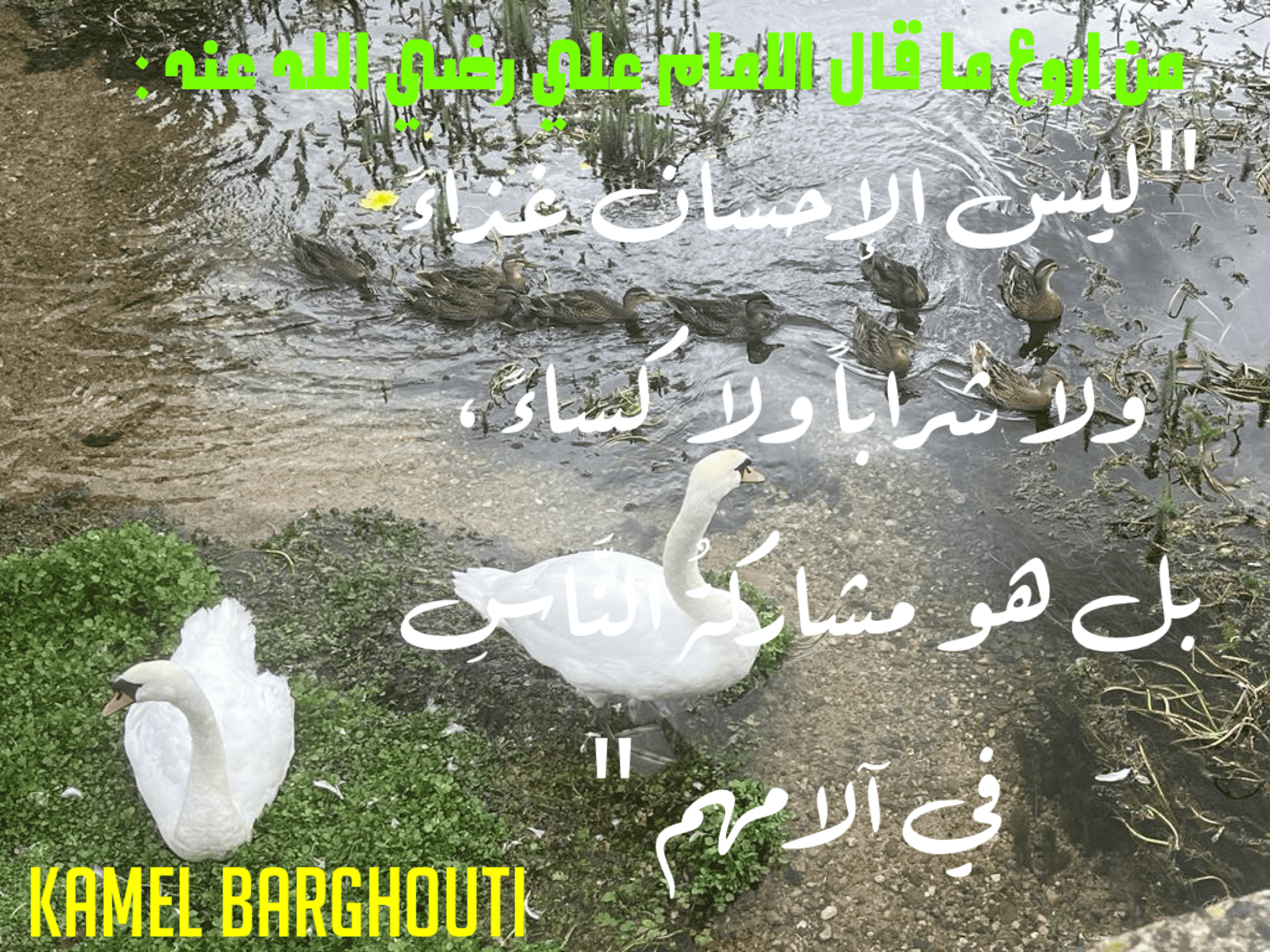 قيم إنسانية – اقتباس 313