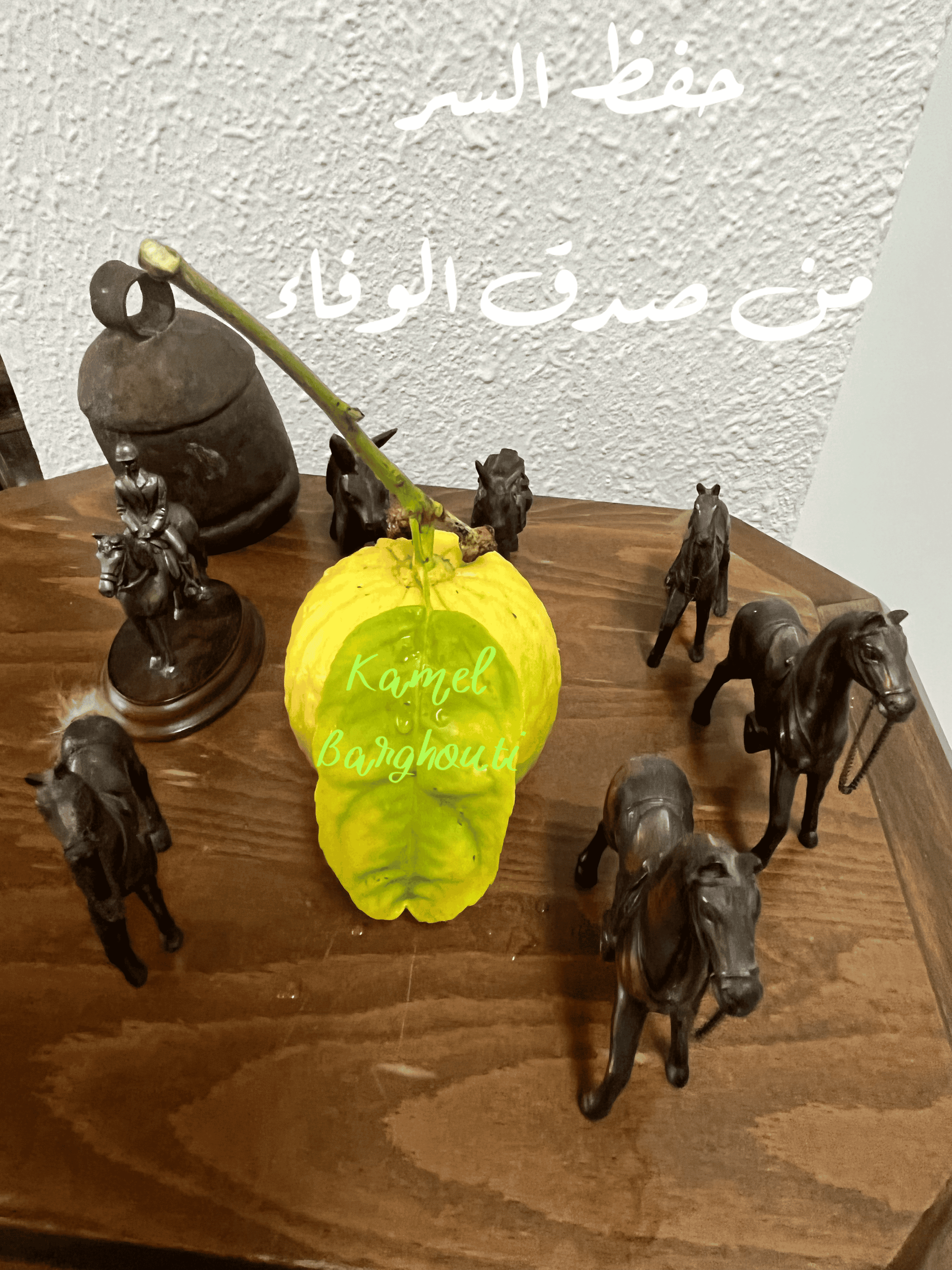 قيم إنسانية – اقتباس 308