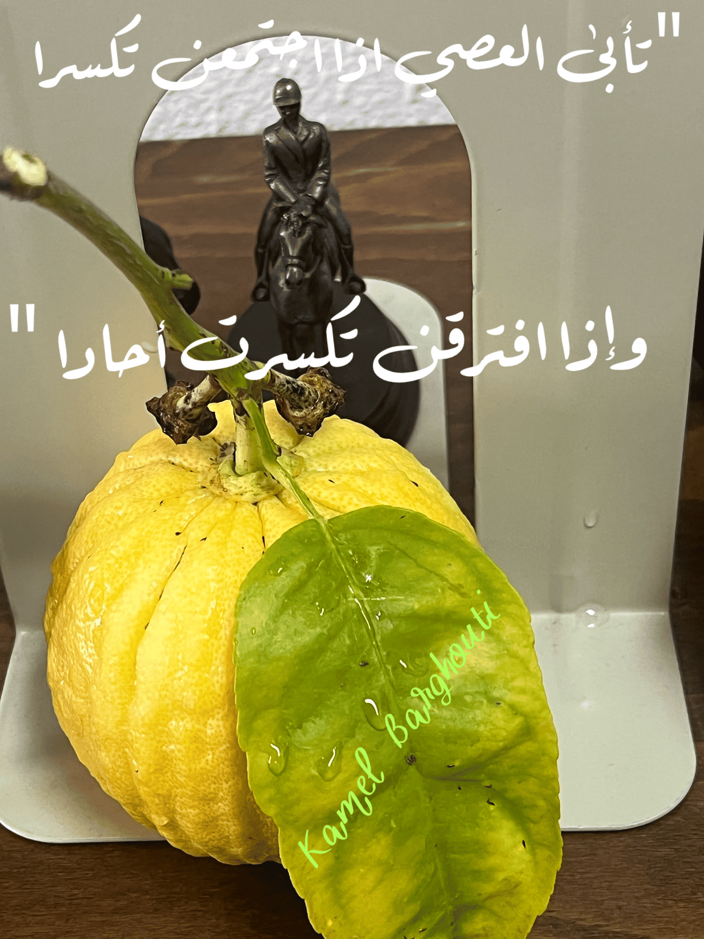 قيم إنسانية – اقتباس 311