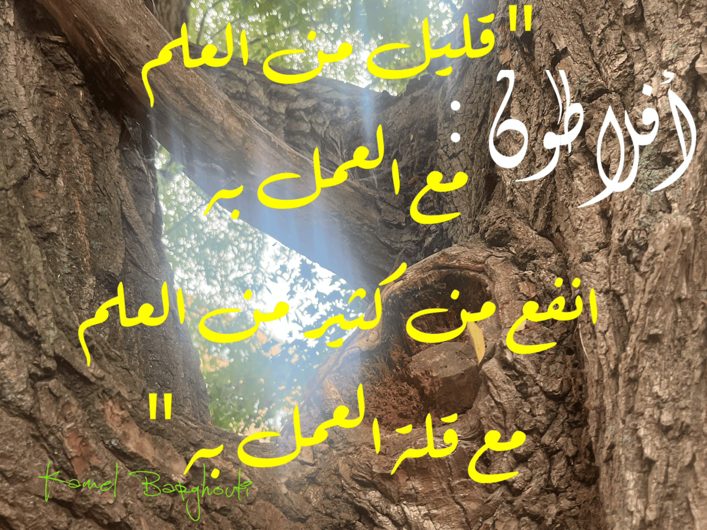 قيم إنسانية – اقتباس 276
