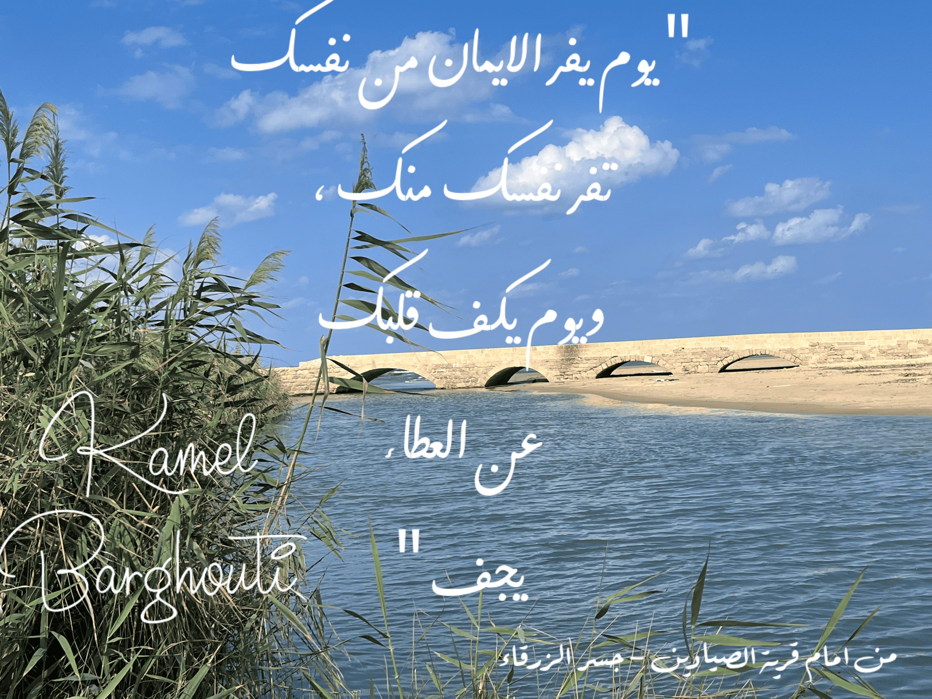 قيم إنسانية – اقتباس 264