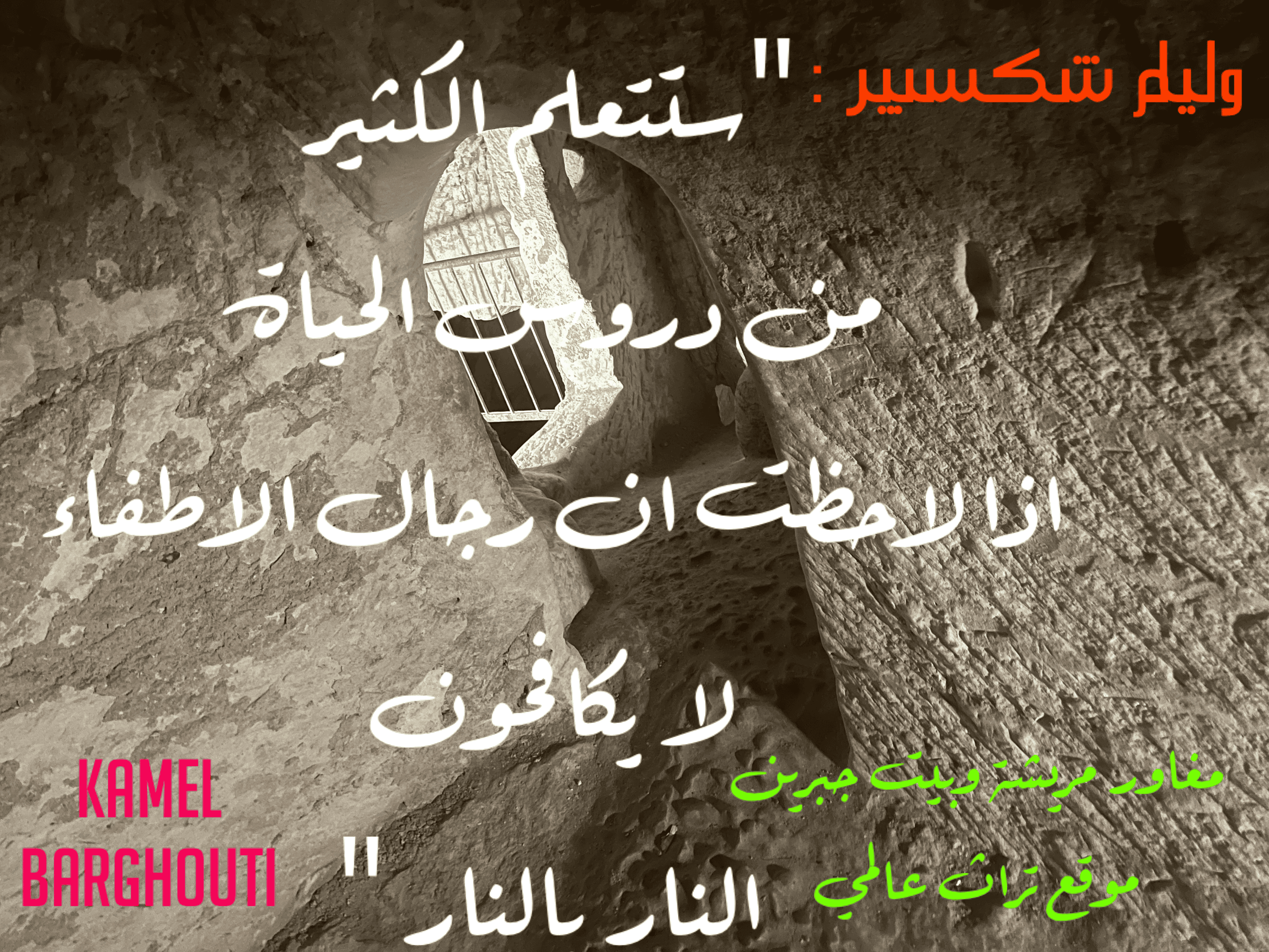 قيم إنسانية – اقتباس 254