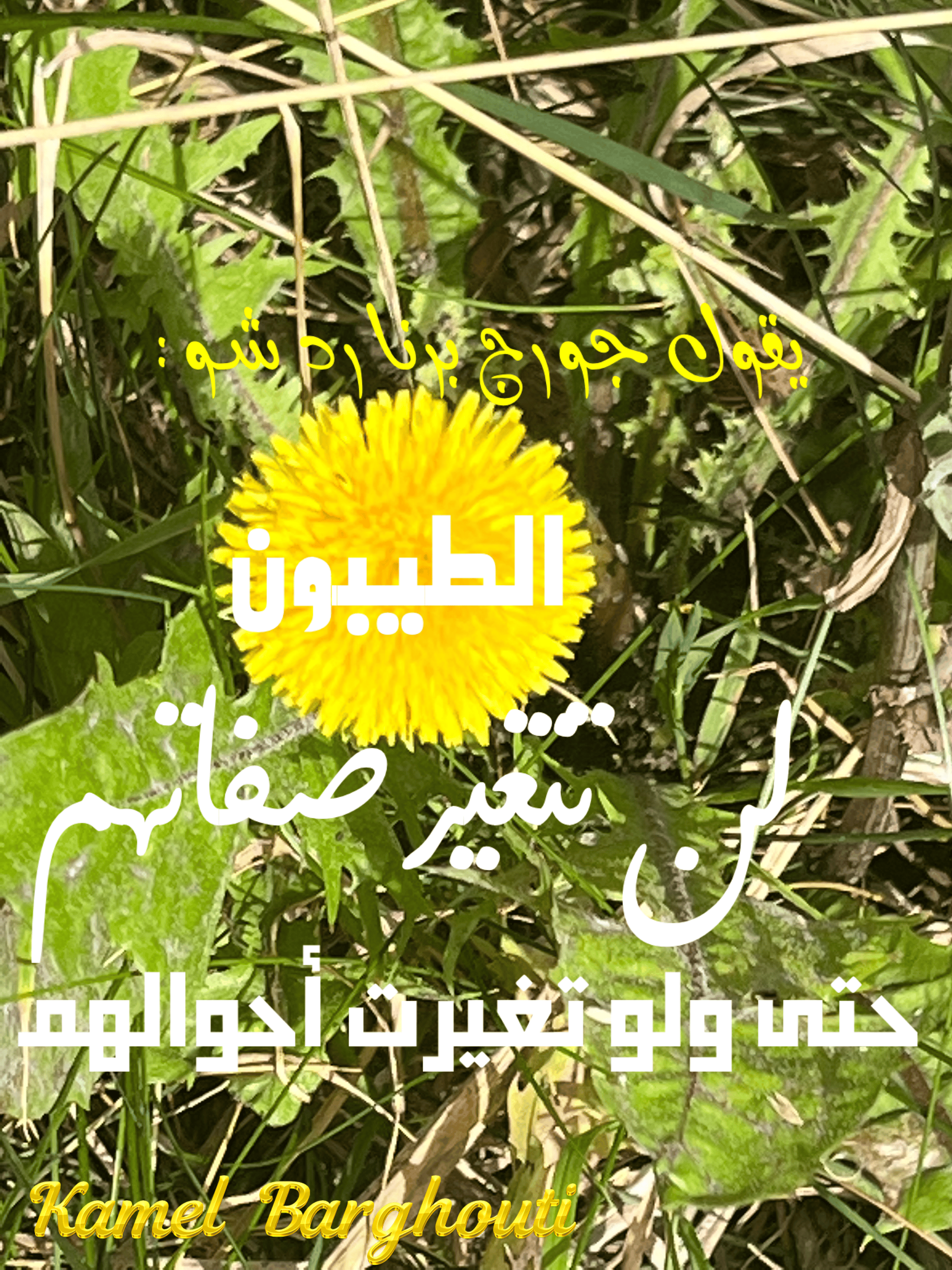 قيم إنسانية – اقتباس 250