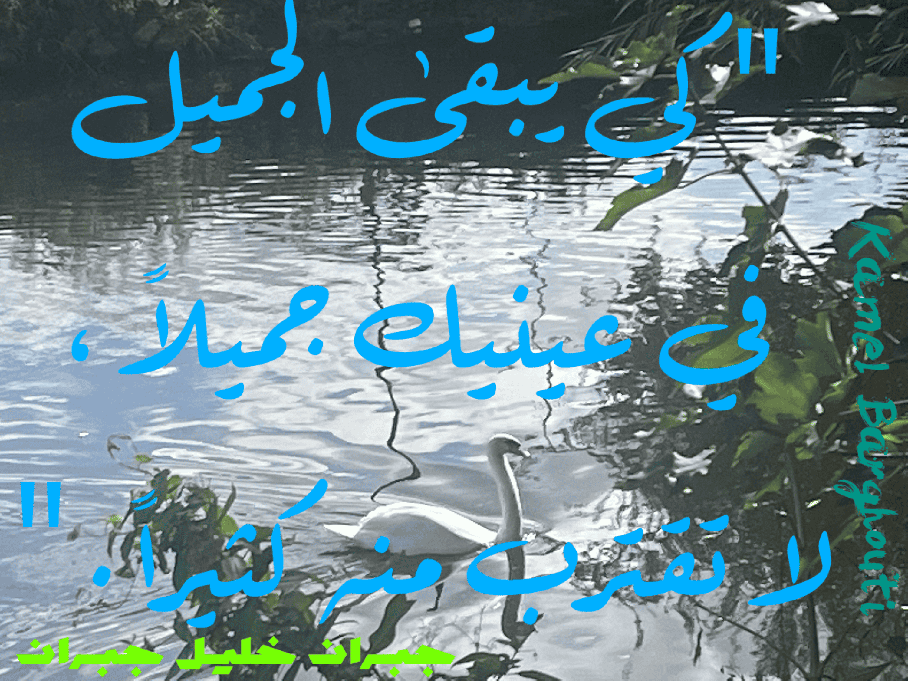قيم إنسانية – اقتباس 246