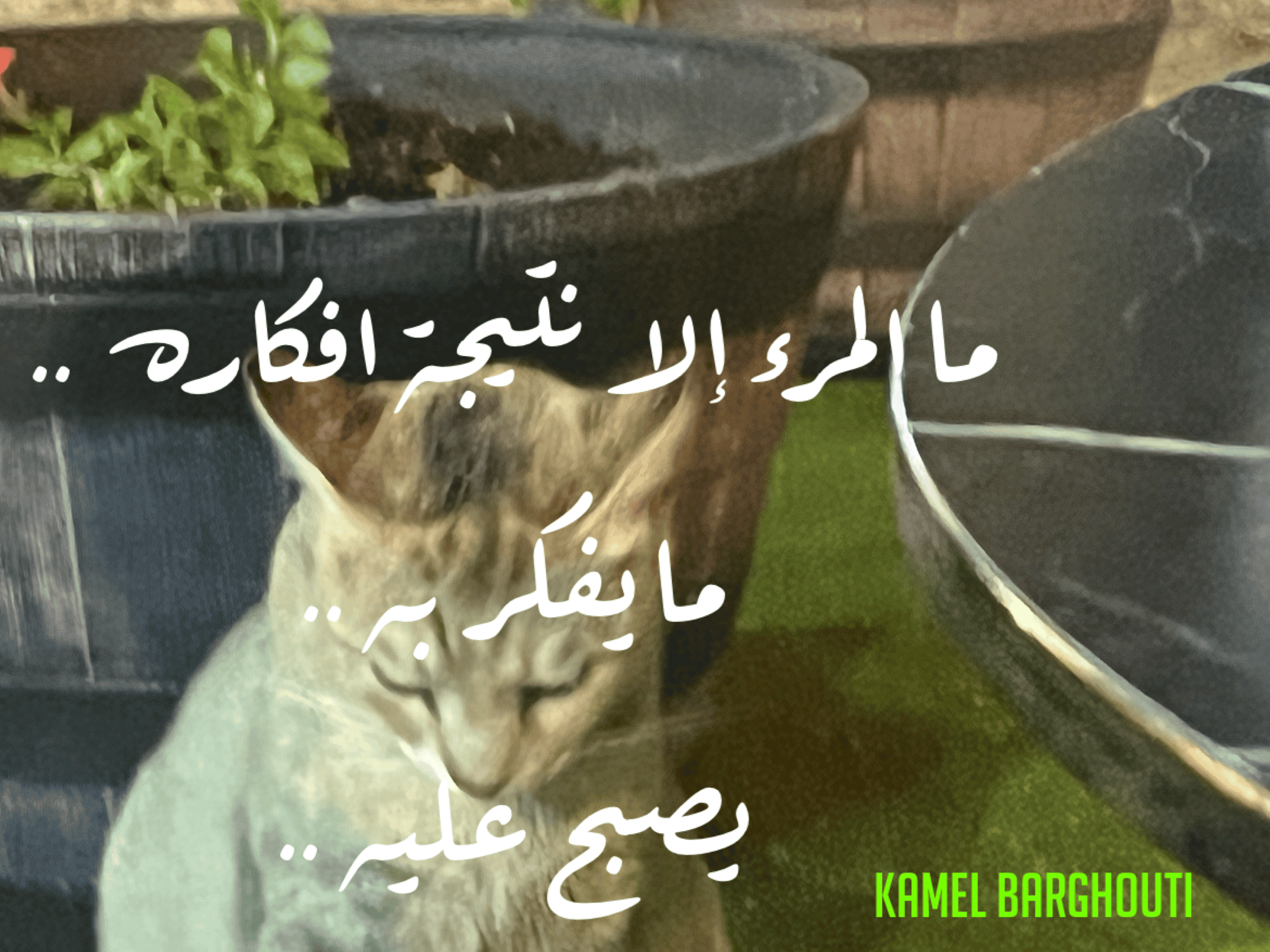 قيم إنسانية – اقتباس 242