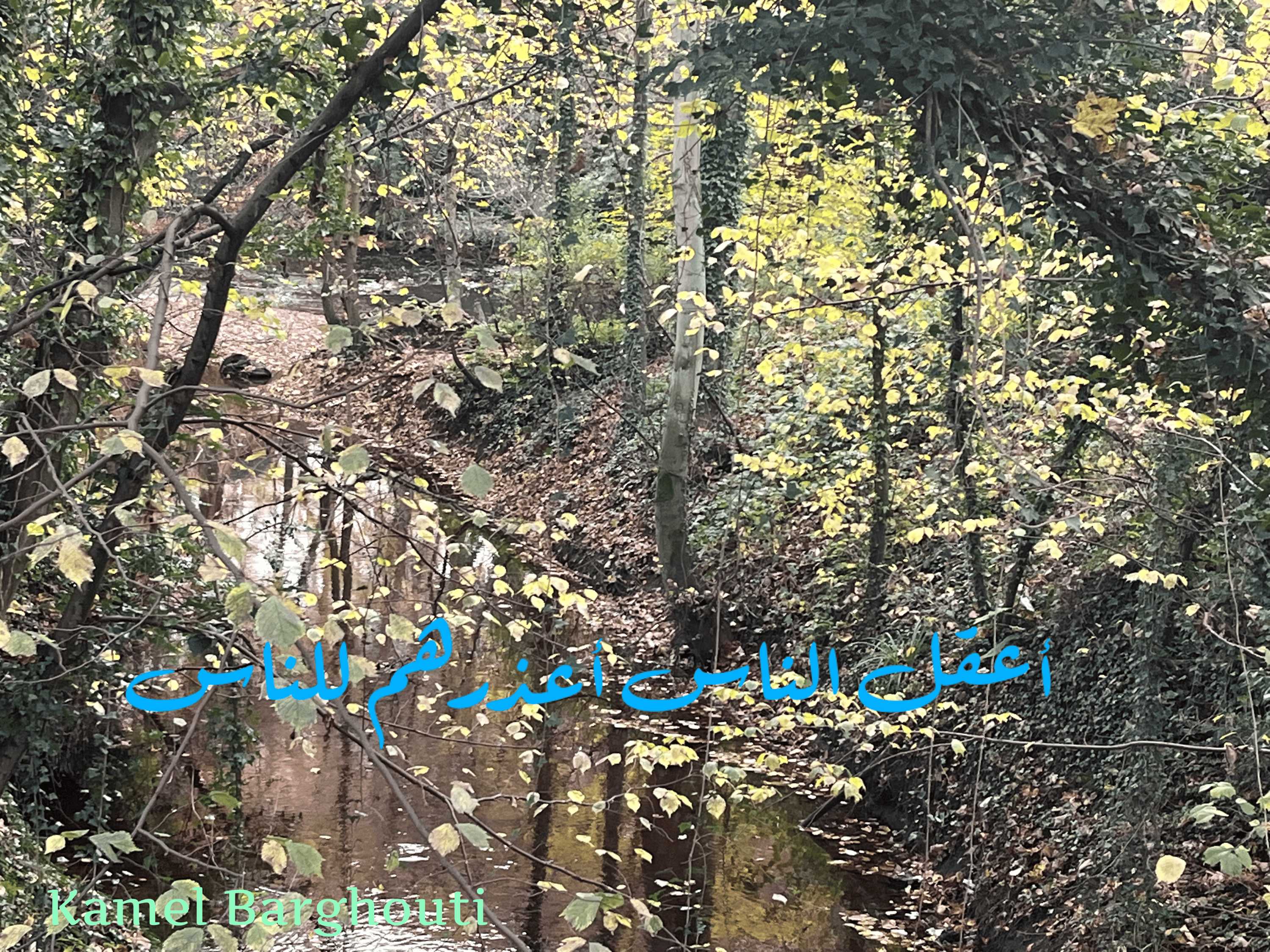 قيم إنسانية – اقتباس 233
