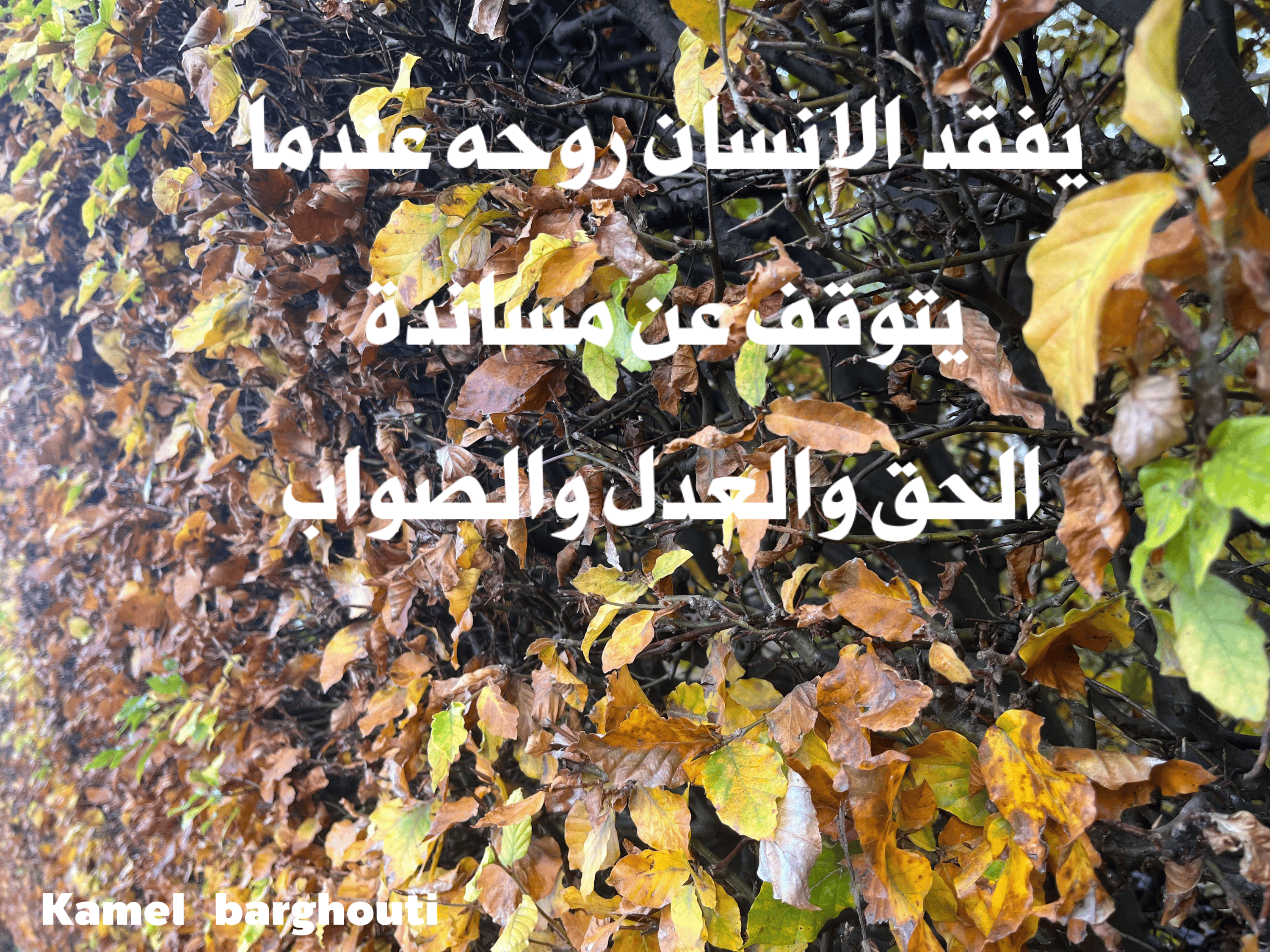 قيم إنسانية – اقتباس 224