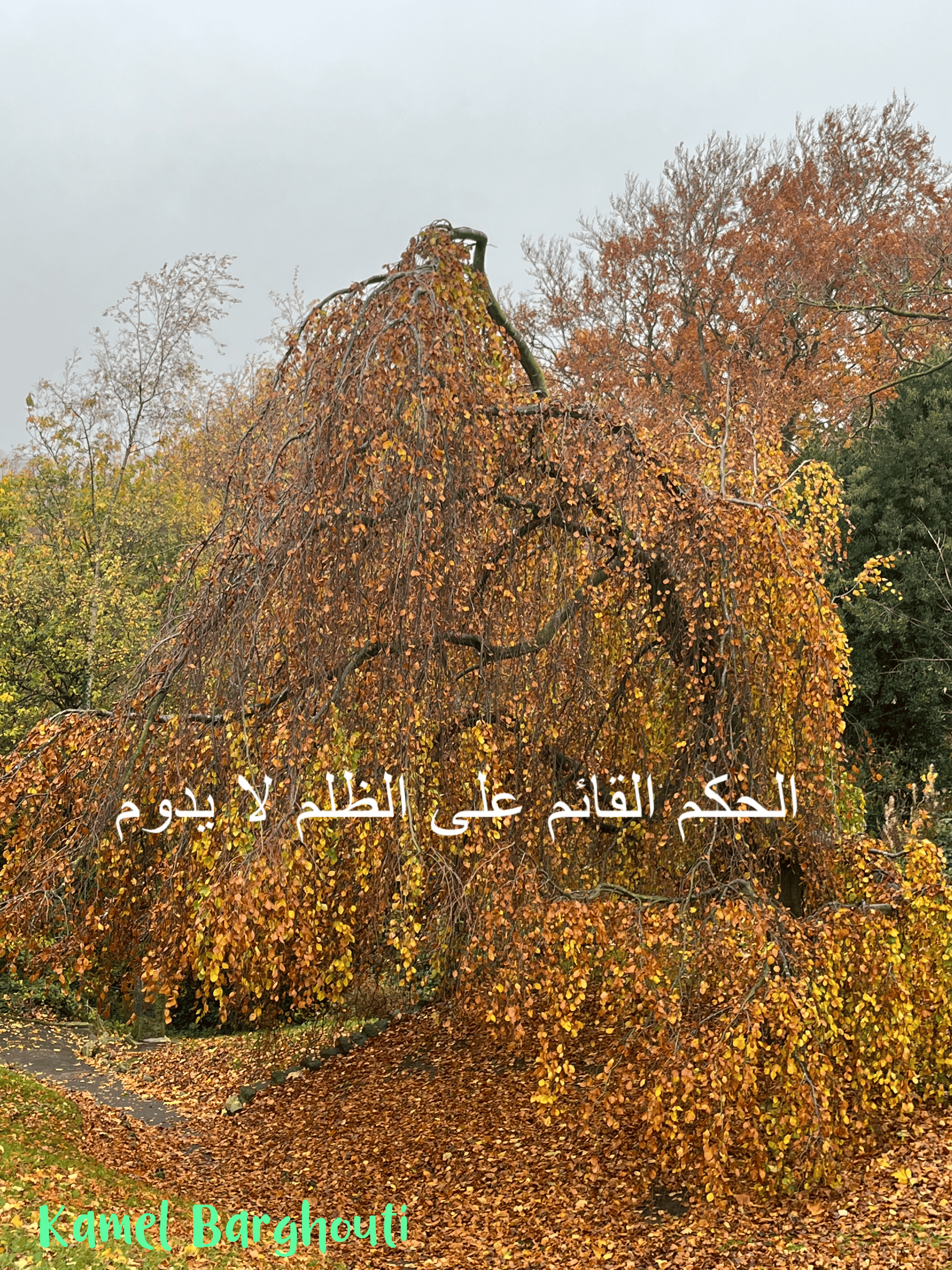 قيم إنسانية – اقتباس 225