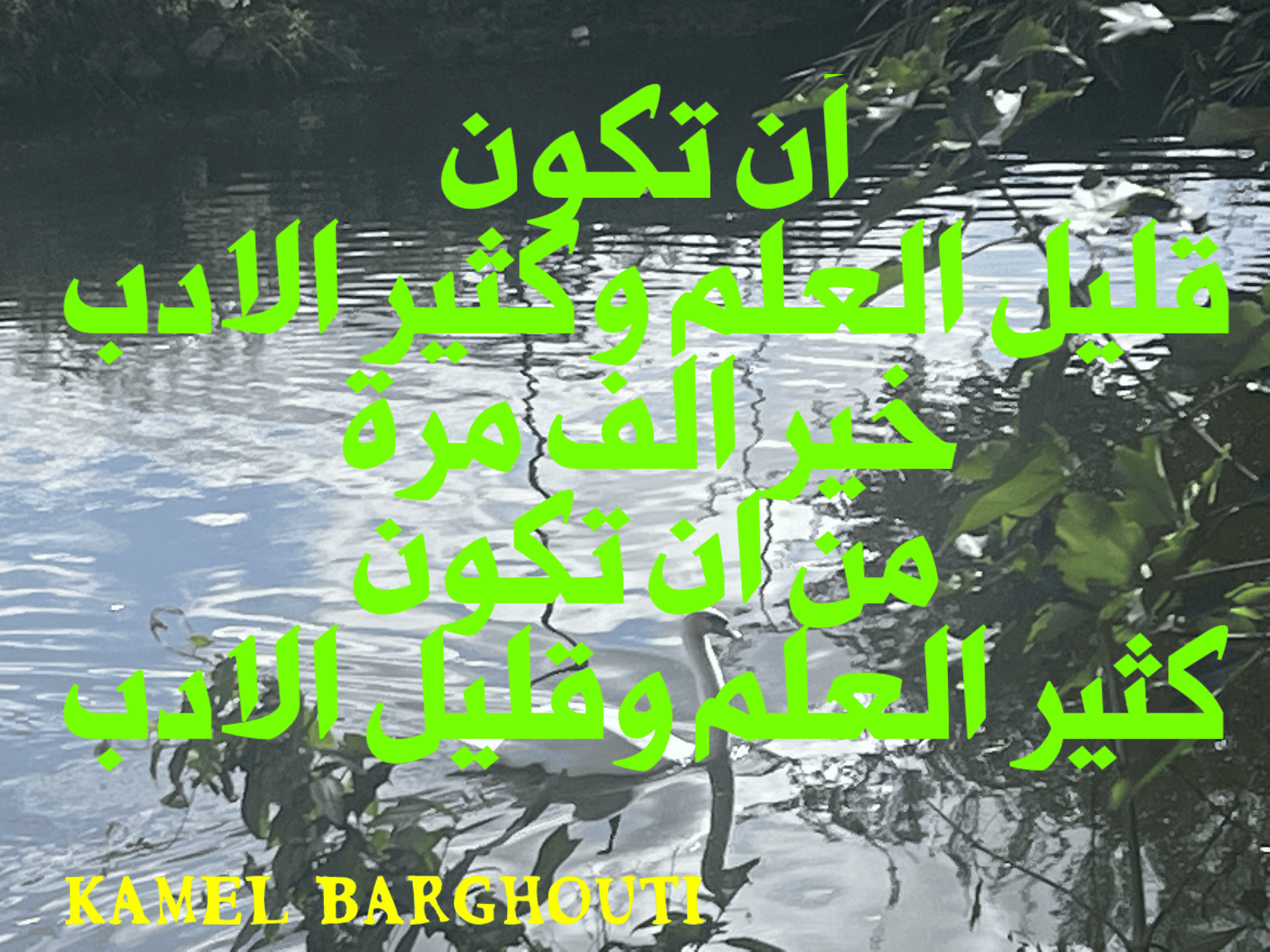قيم إنسانية – اقتباس 223