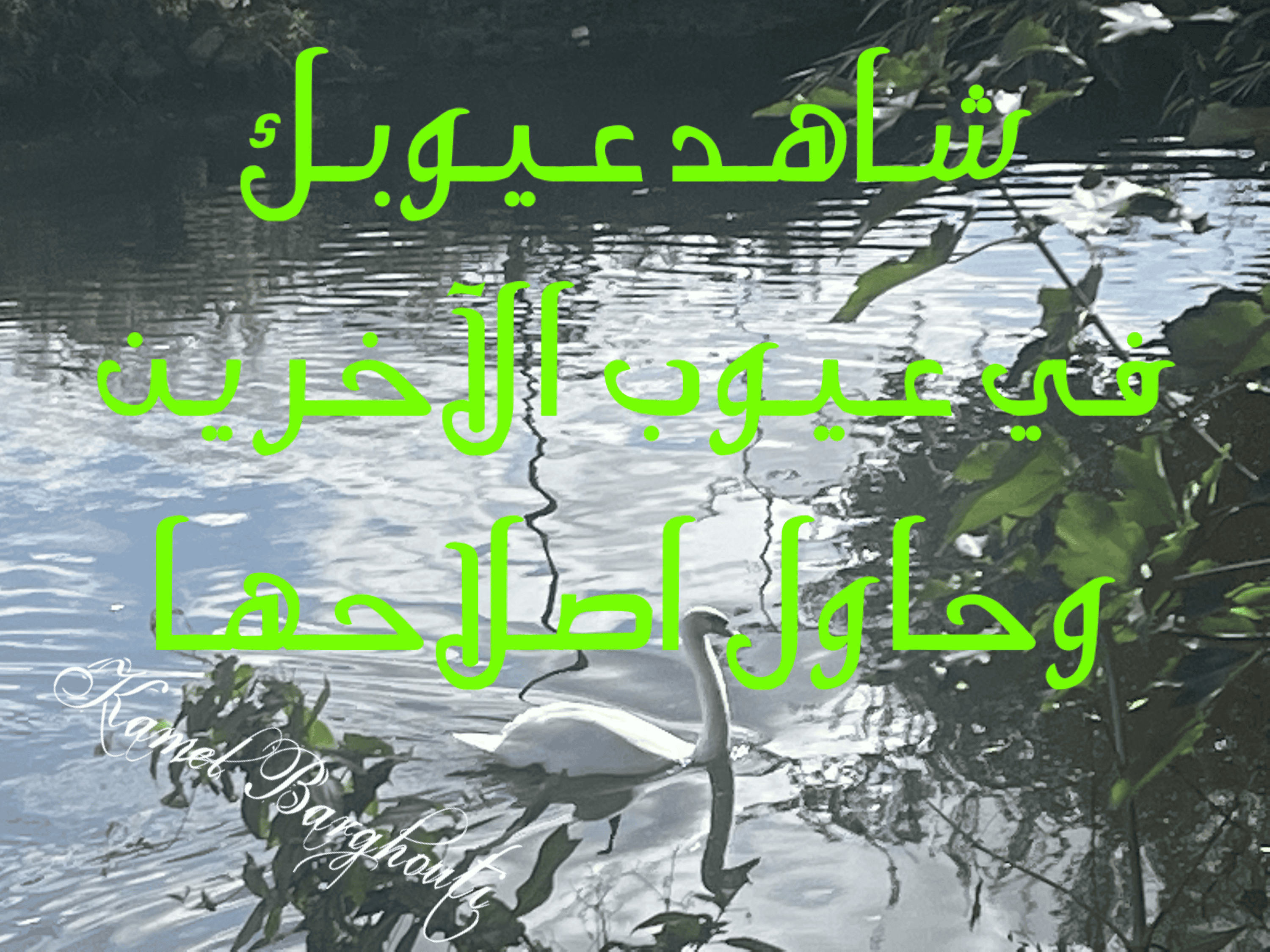 قيم إنسانية – اقتباس 217