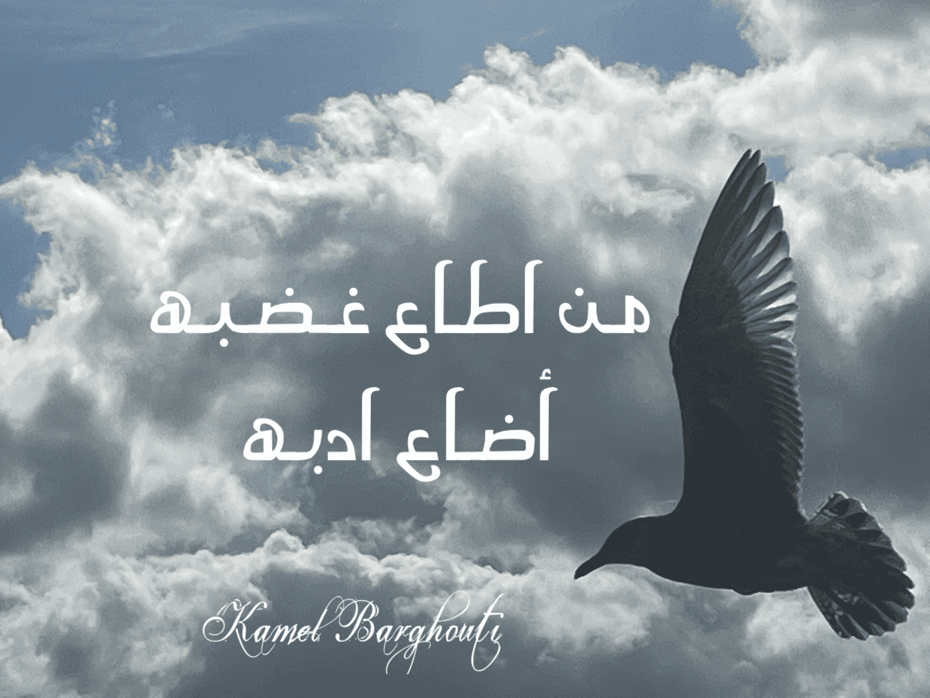 قيم إنسانية – اقتباس 210