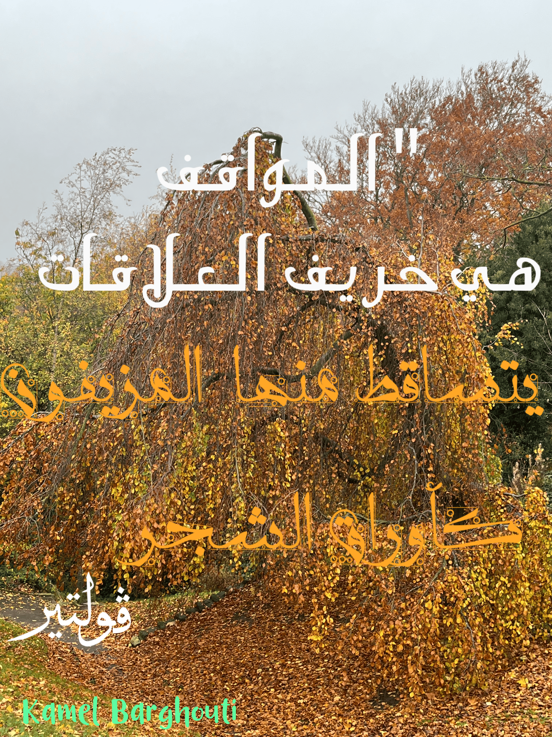 قيم إنسانية – اقتباس 179