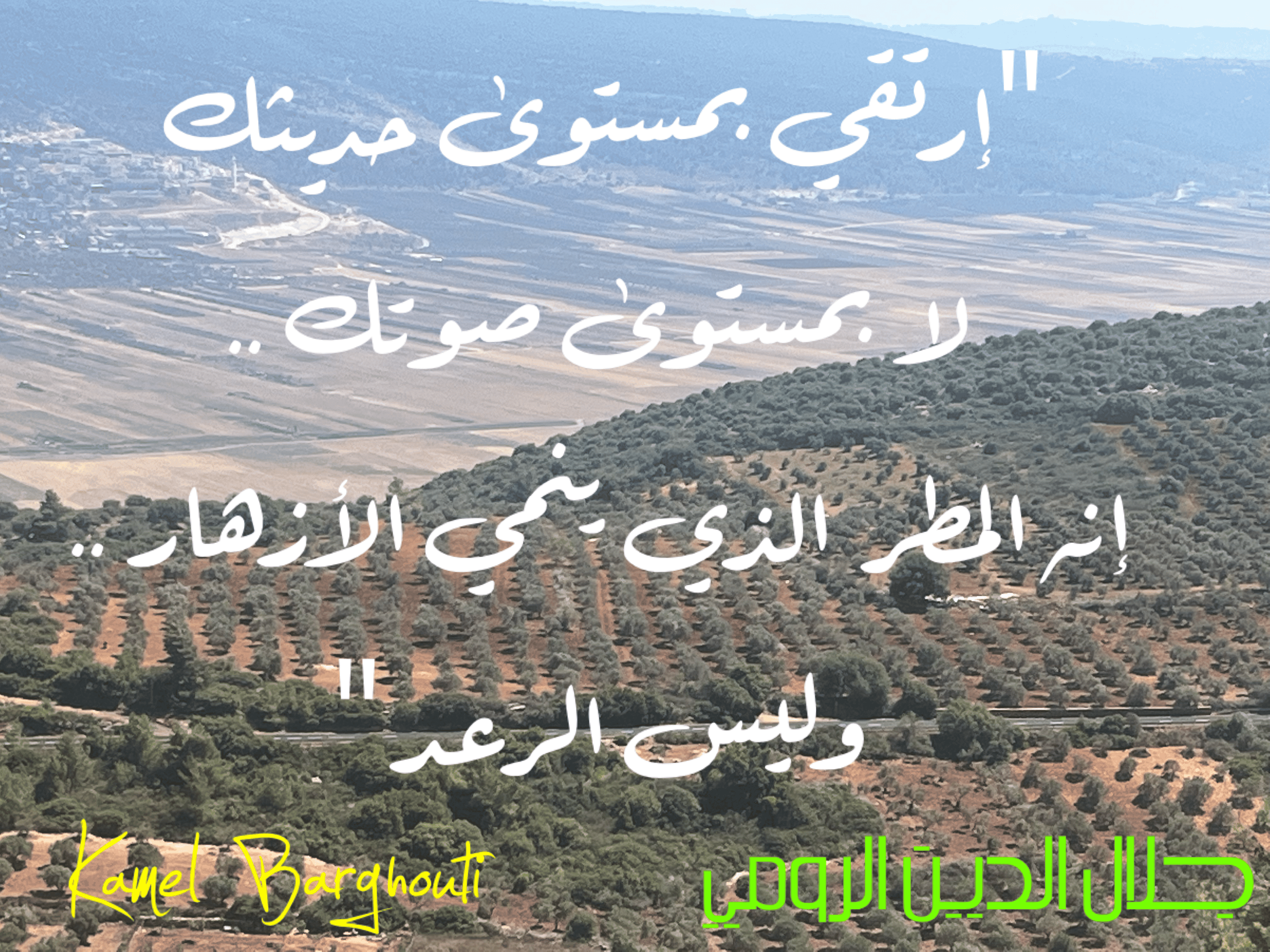 قيم إنسانية – اقتباس 173
