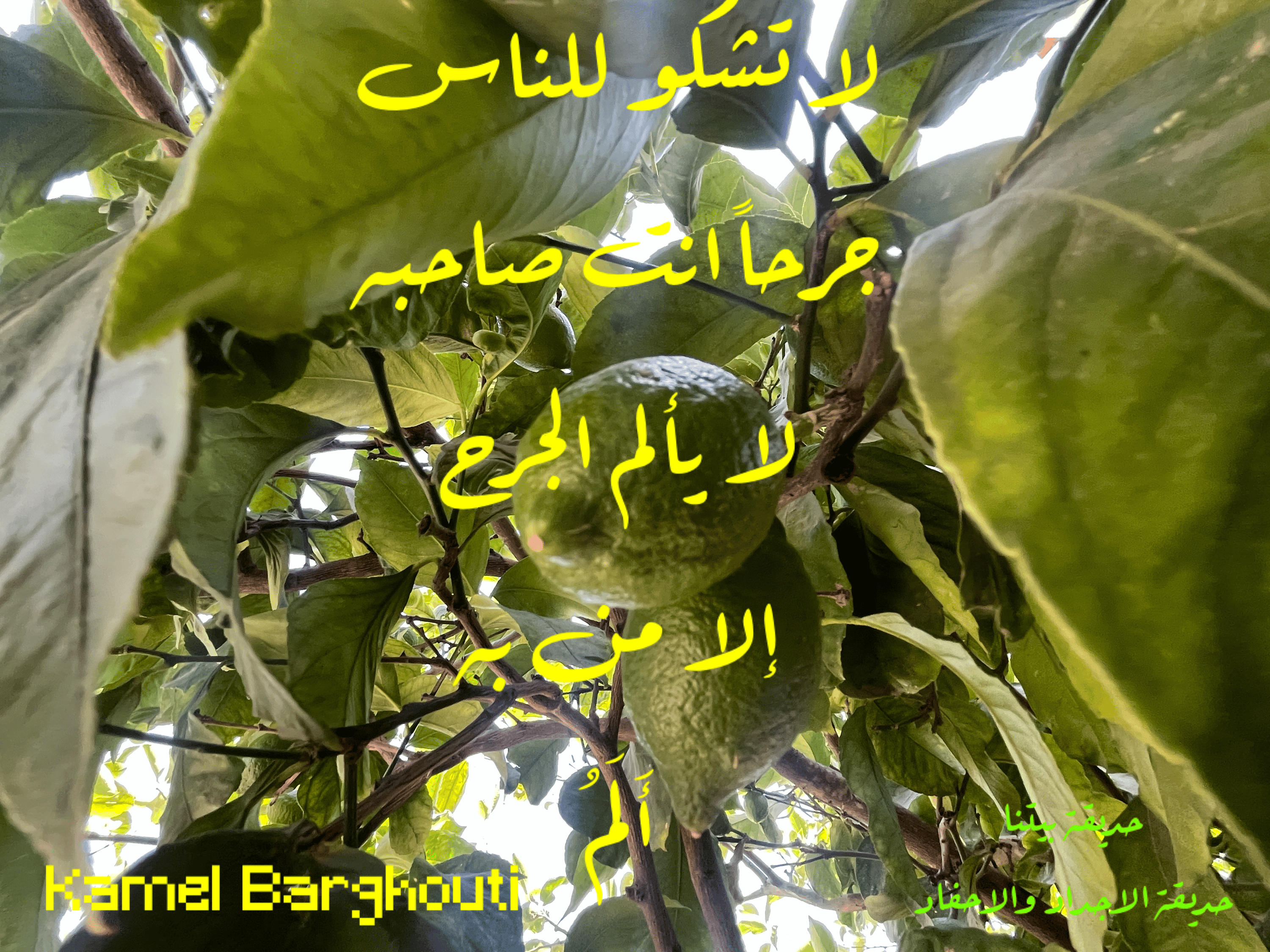 قيم إنسانية – اقتباس 155