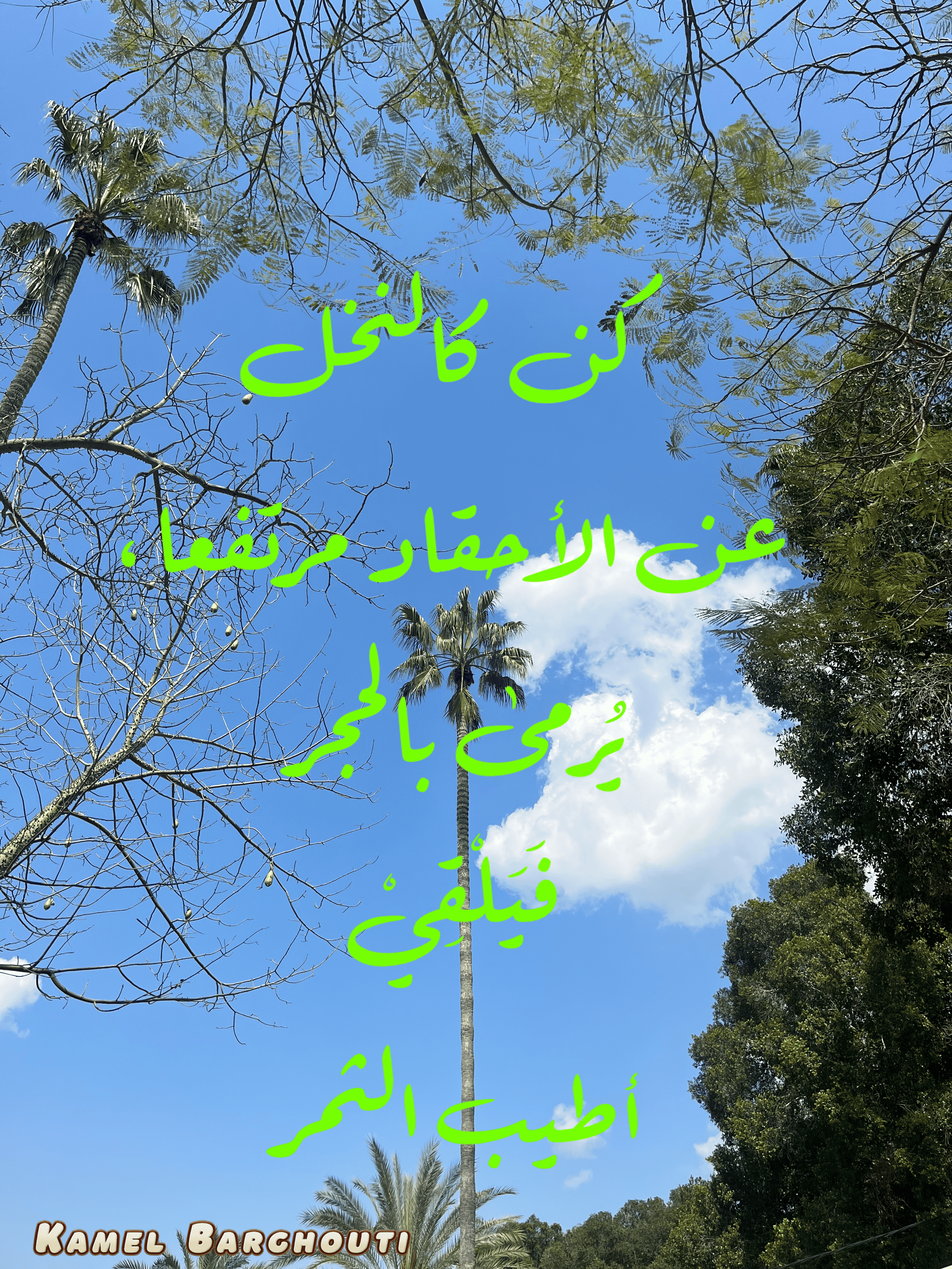 قيم إنسانية – اقتباس 151