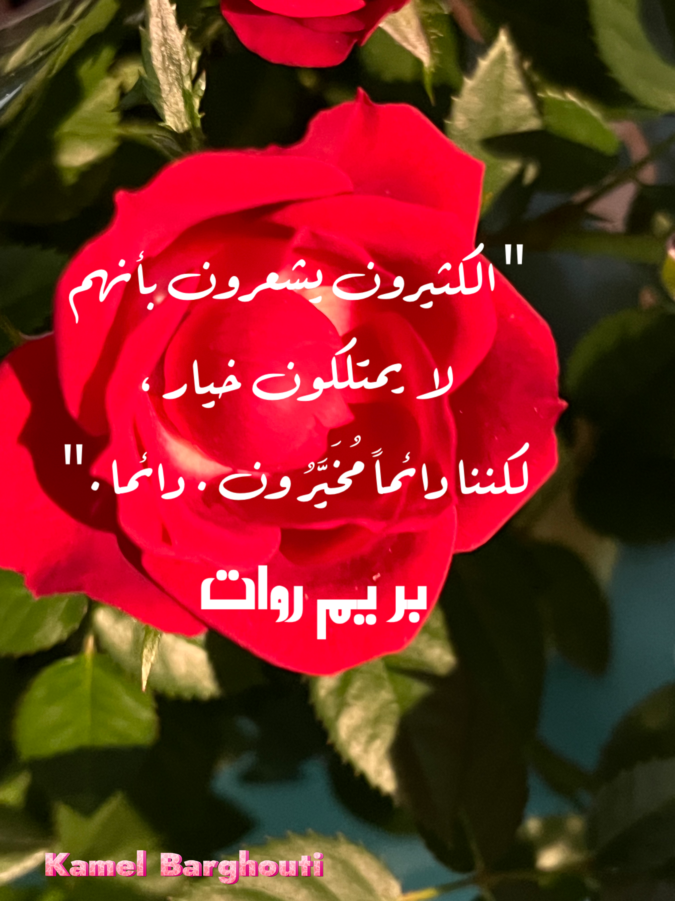 قيم إنسانية – اقتباس 141