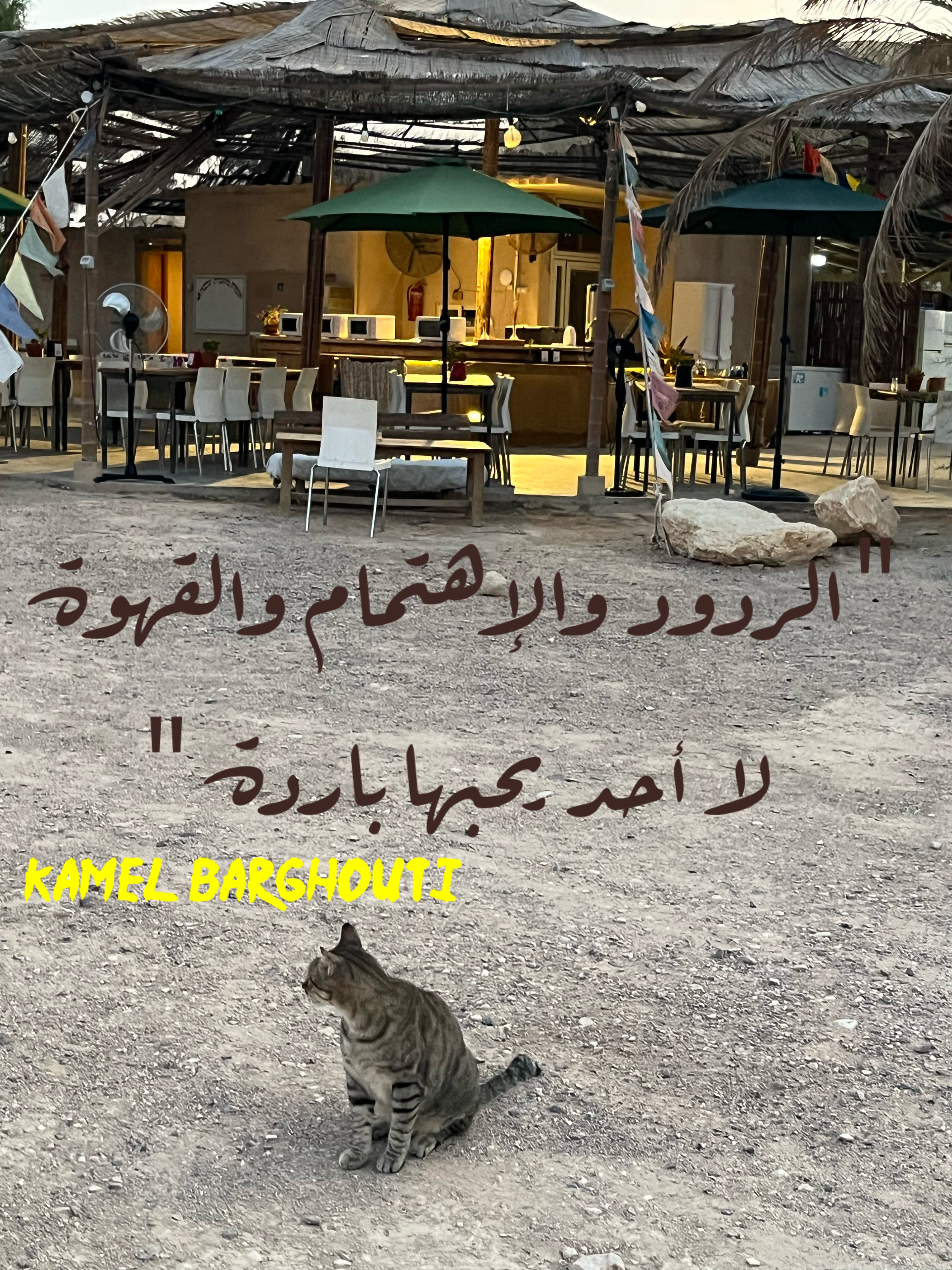 قيم إنسانية – اقتباس 118