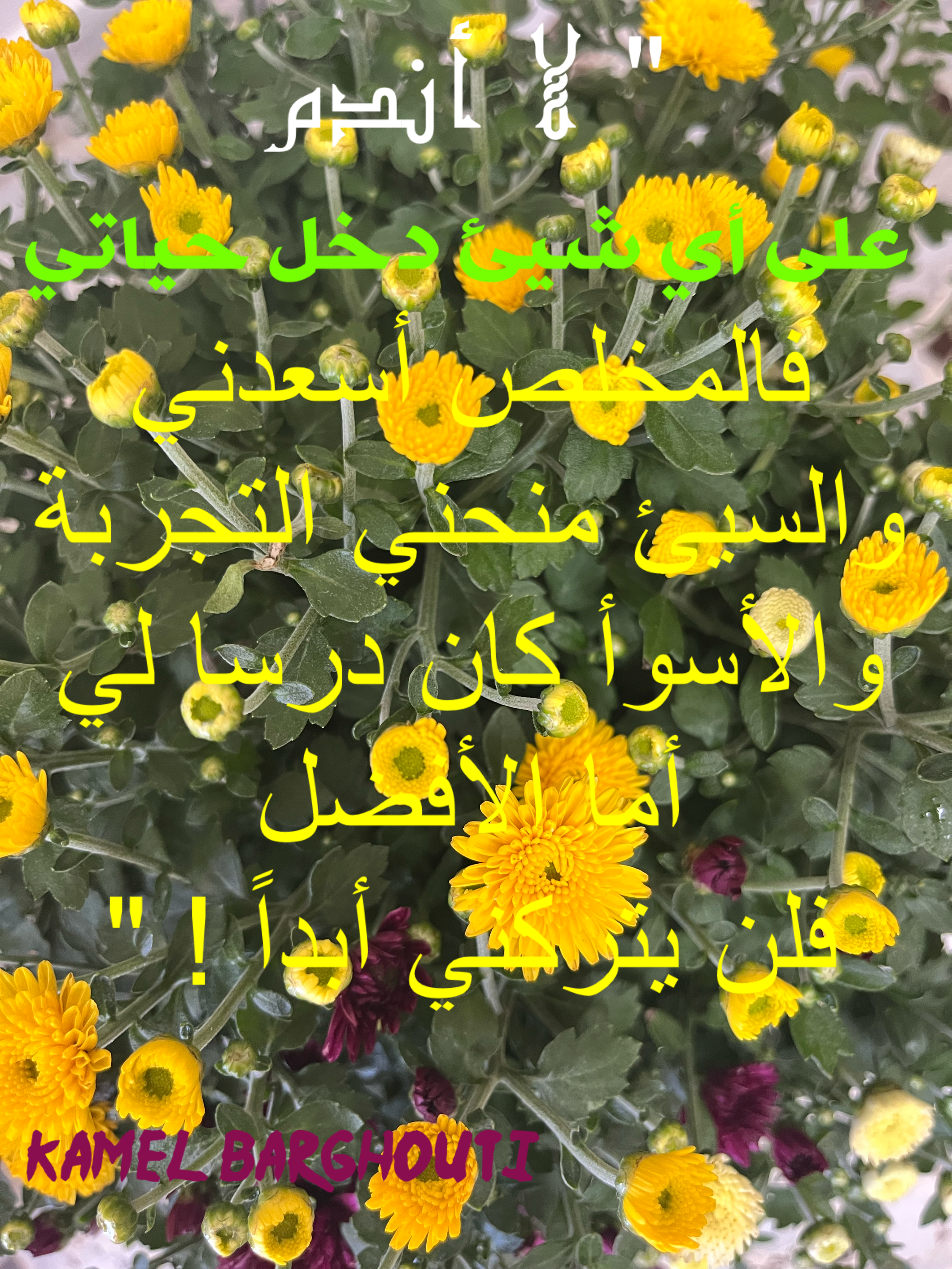 قيم إنسانية – اقتباس 120