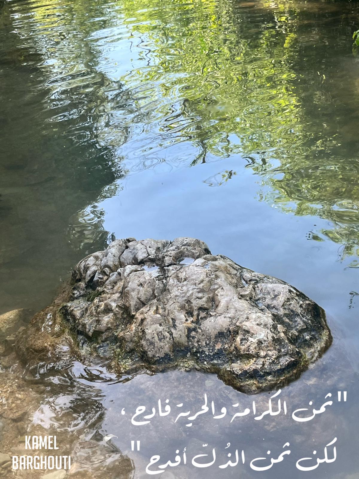 قيم إنسانية – اقتباس 72