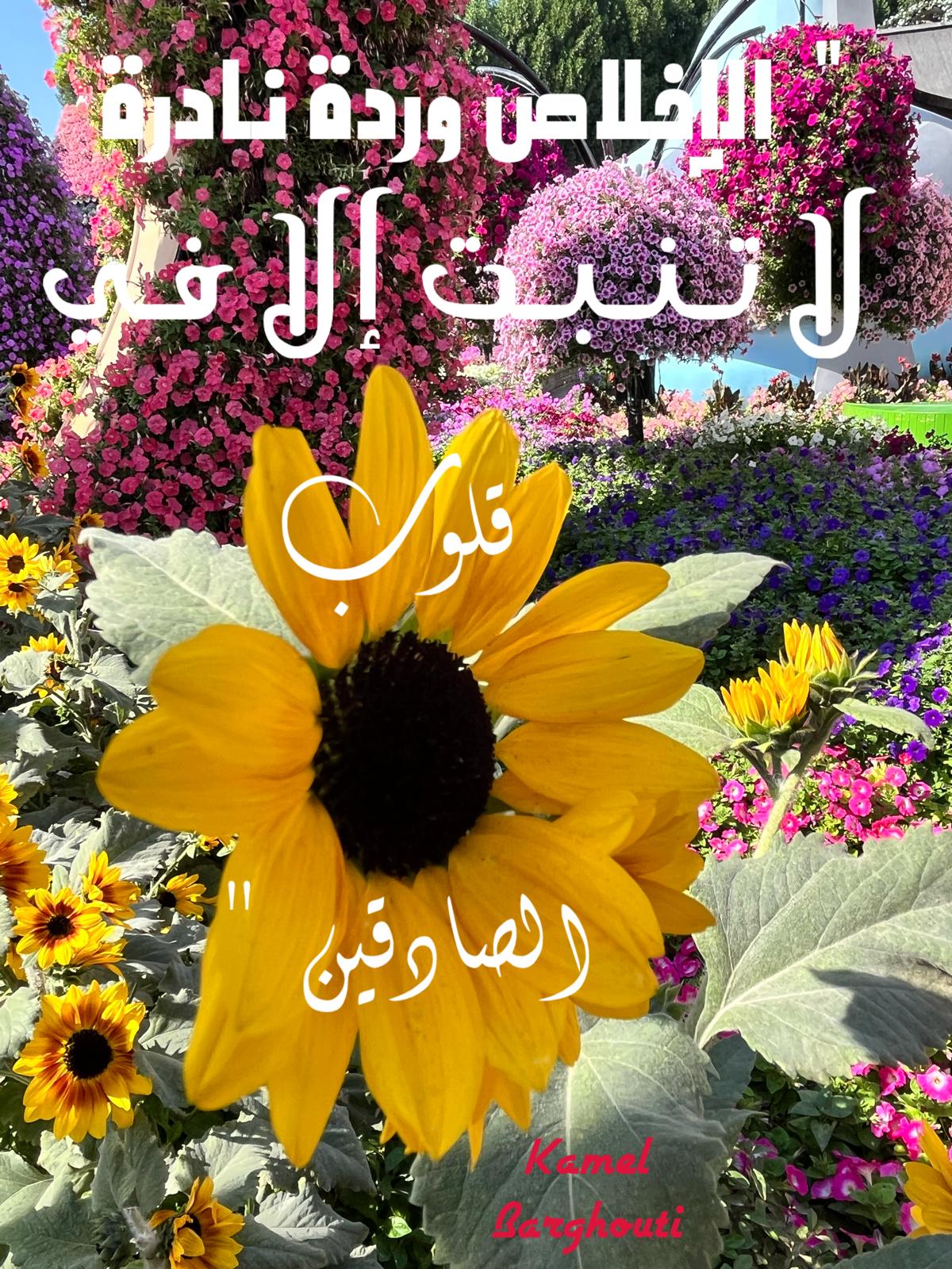 قيم إنسانية – اقتباس 79