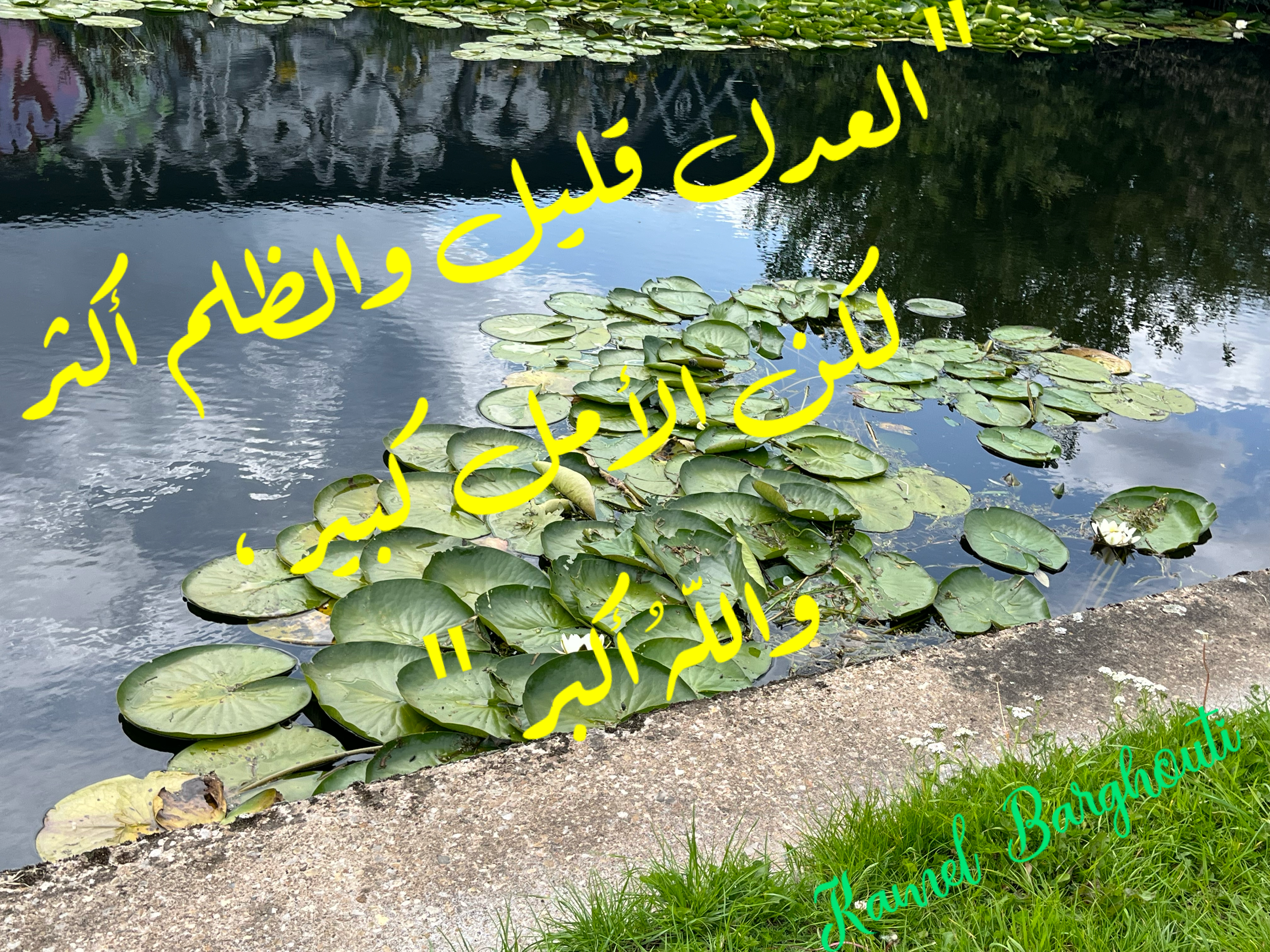 قيم إنسانية – اقتباس 43