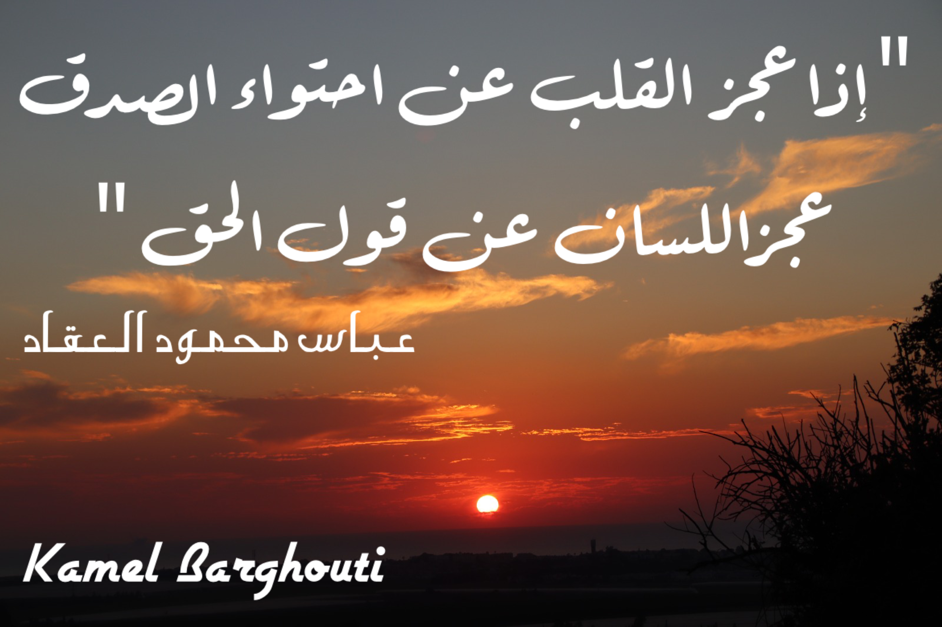 قيم إنسانية – اقتباس 42