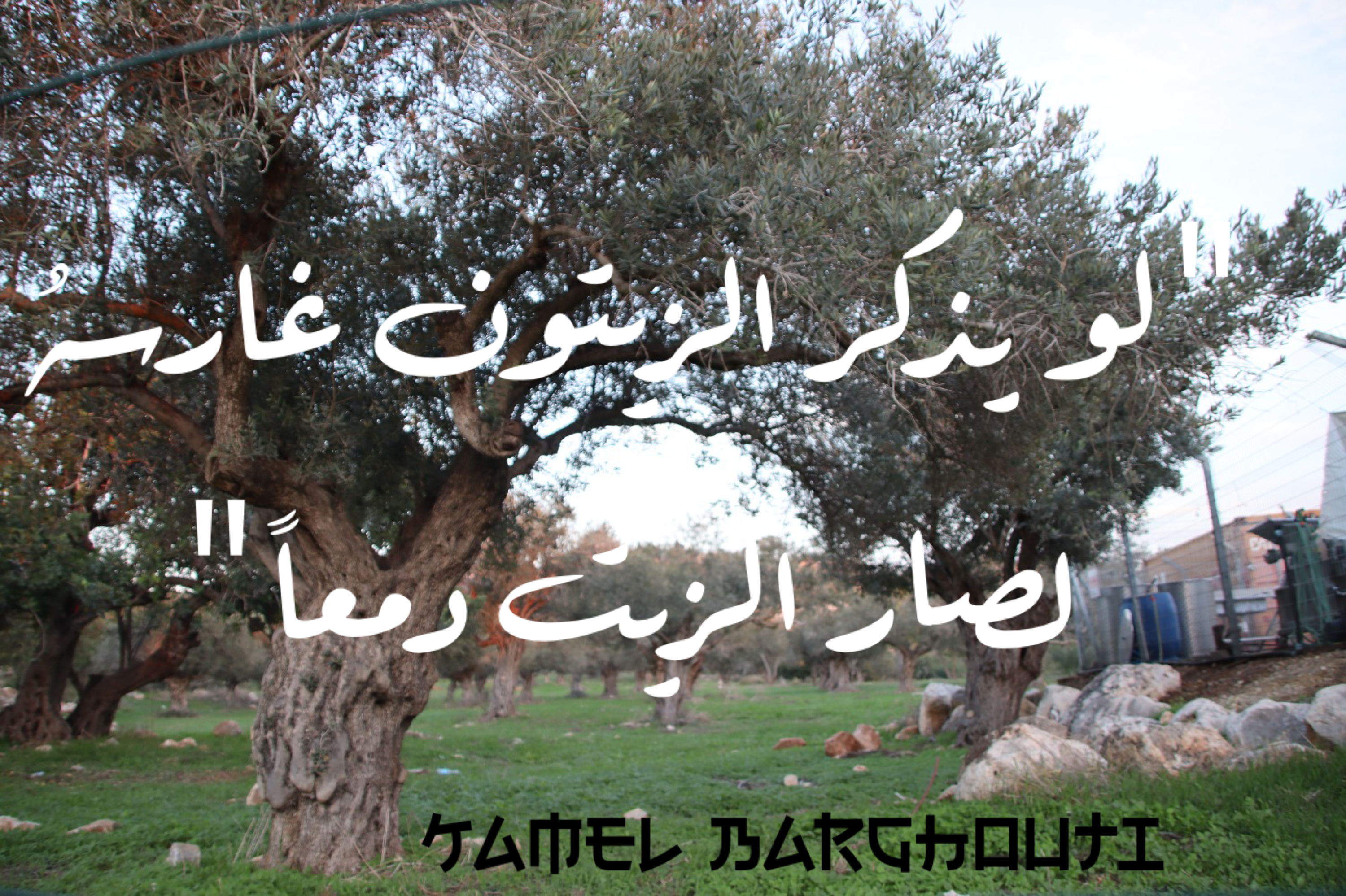 قيم إنسانية – اقتباس 38