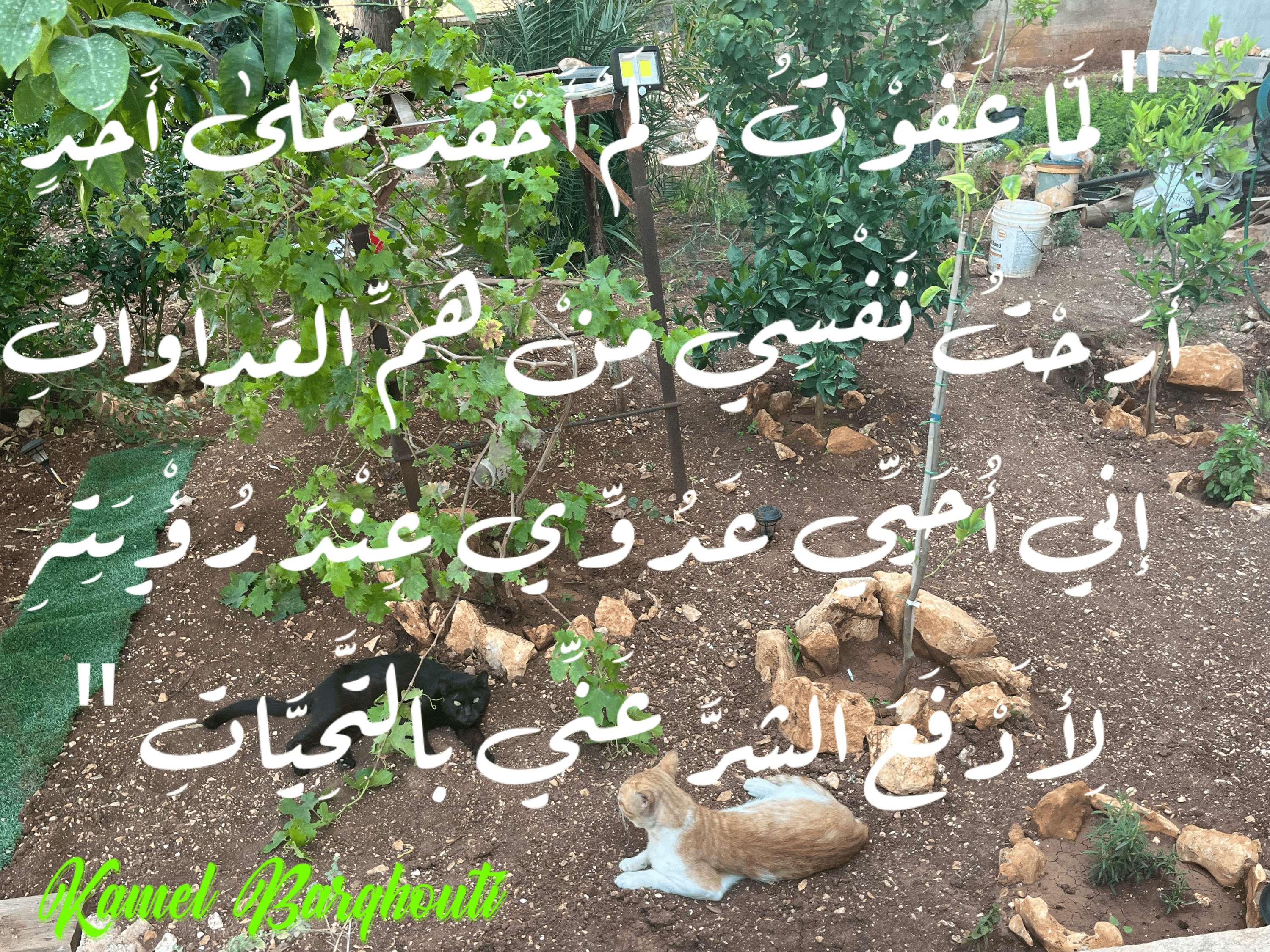 قيم إنسانية – اقتباس 36