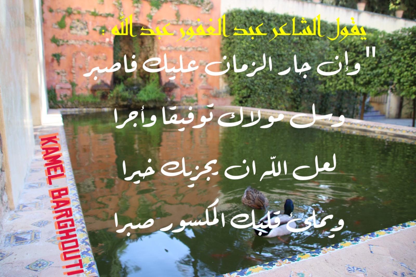 اليقين بالله – اقتباس 211