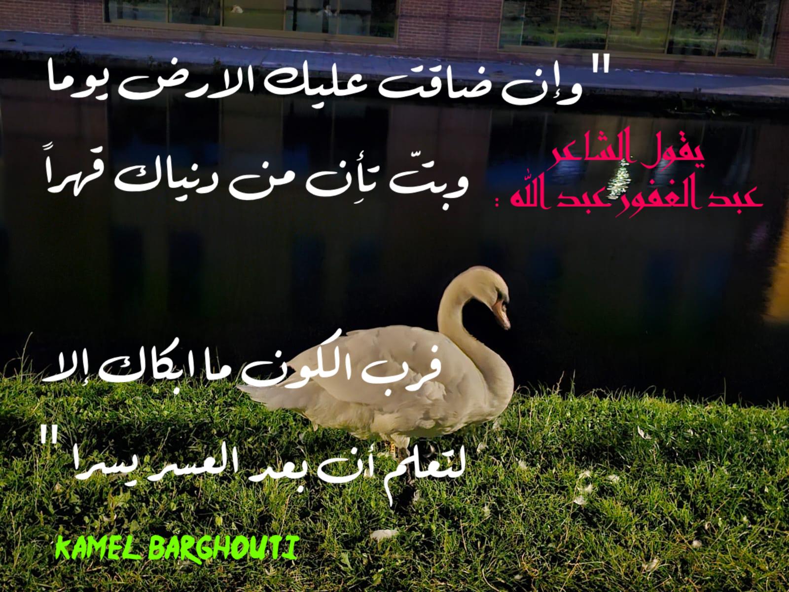 اليقين بالله – اقتباس 221