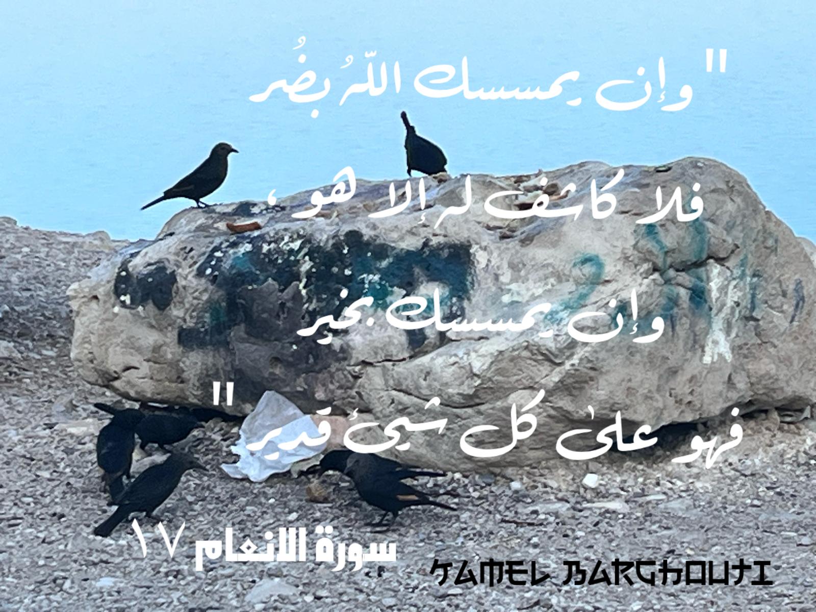 اليقين بالله – اقتباس 219
