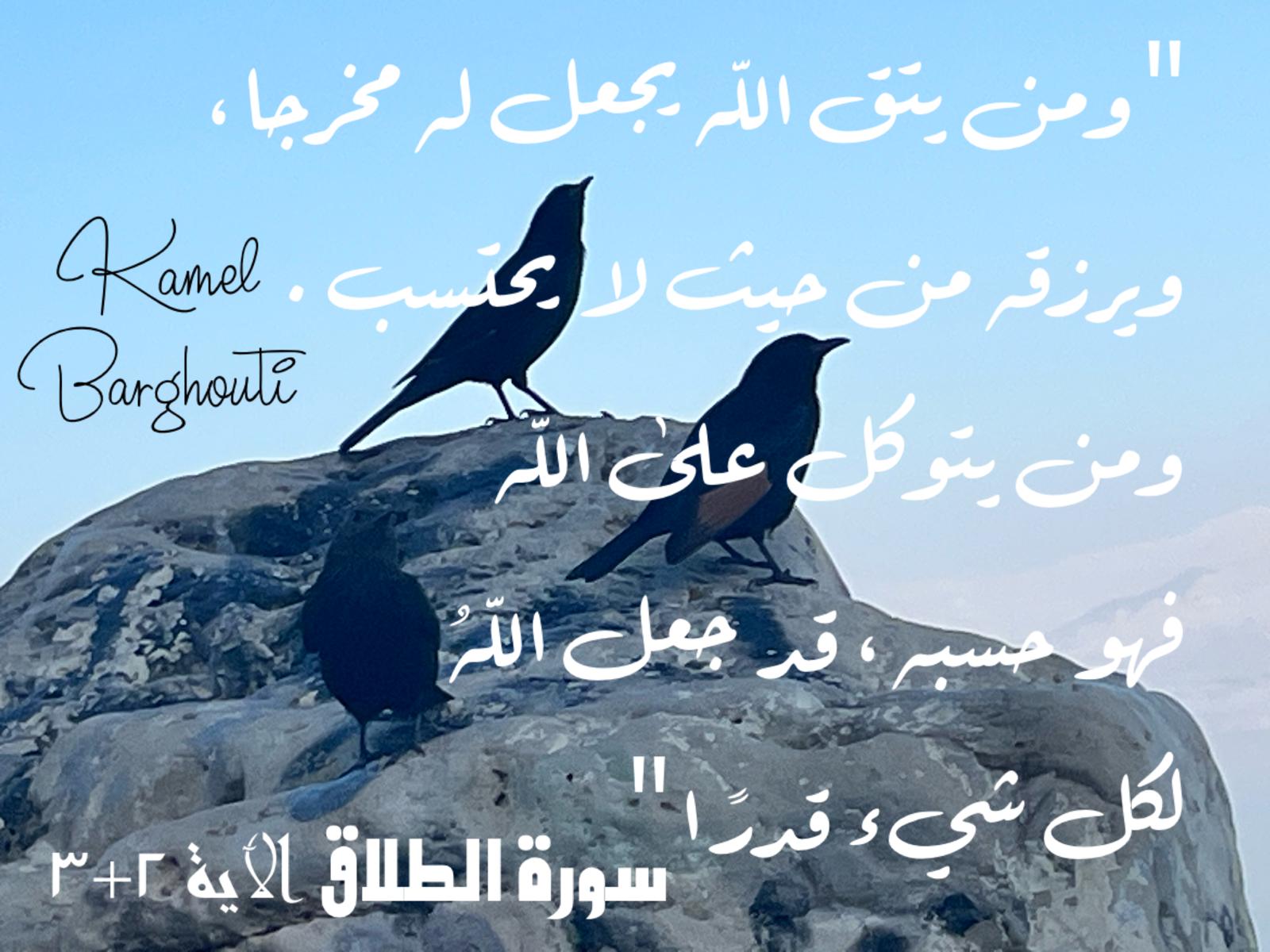 اليقين بالله – اقتباس 210