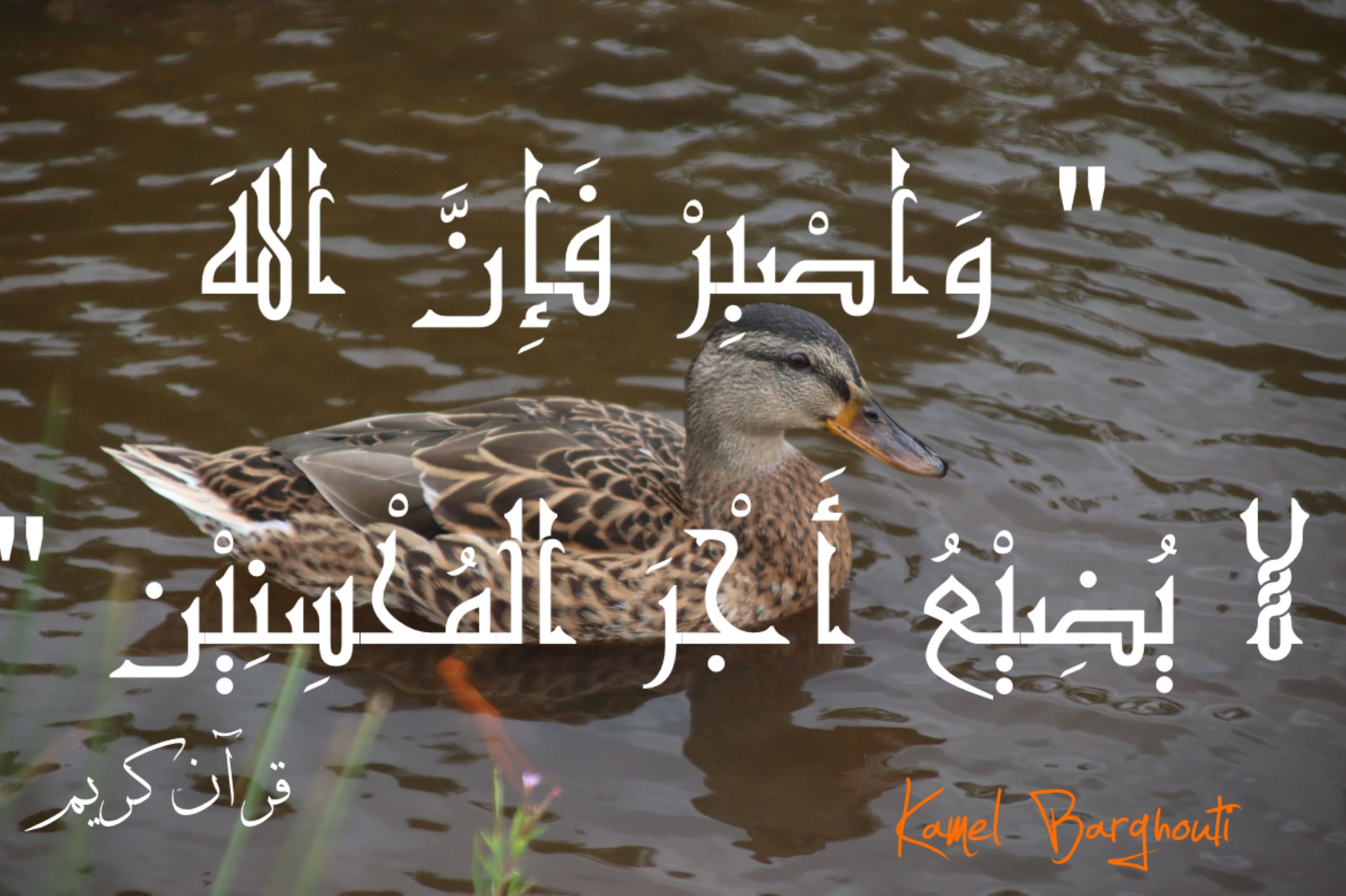 اليقين بالله – اقتباس 173