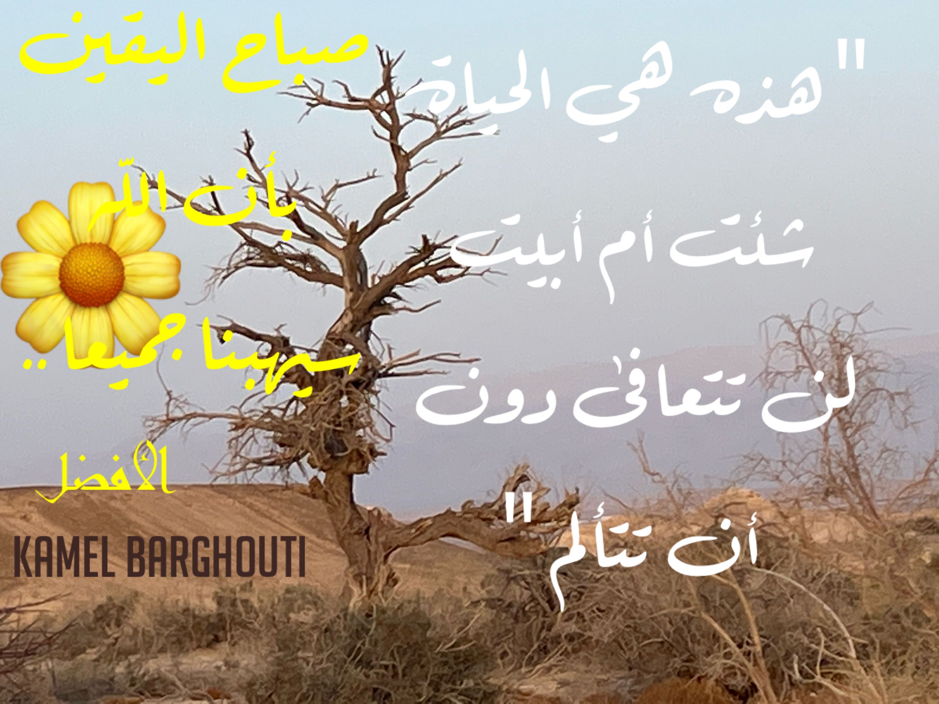 اليقين بالله – اقتباس 153